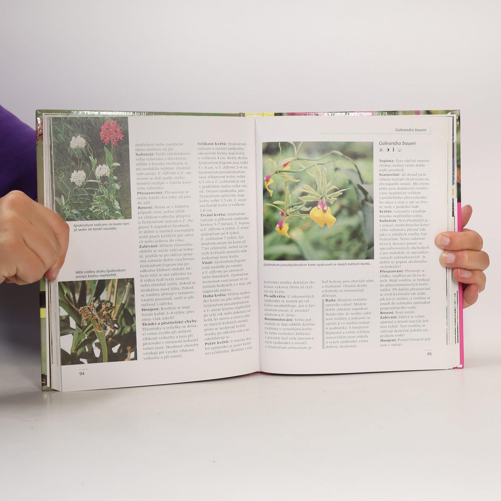 Brigitte Goede Orchideje. Praktický rádce pro zdraví rostlin a krásu květů