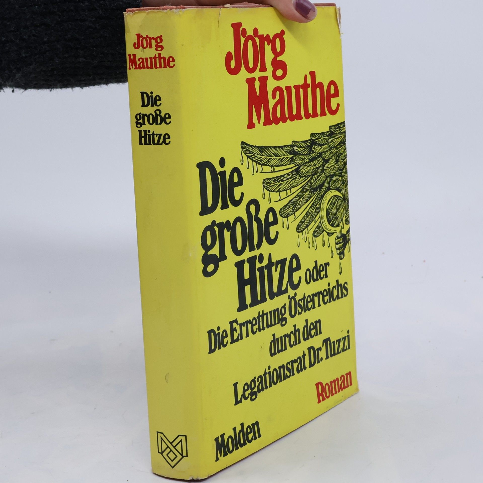 Jörg Mauthe Die große Hitze