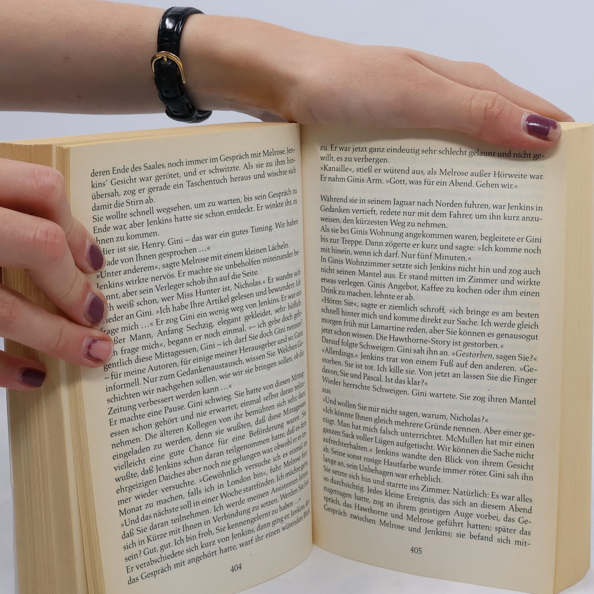 Sally Beauman Reise in die Nacht