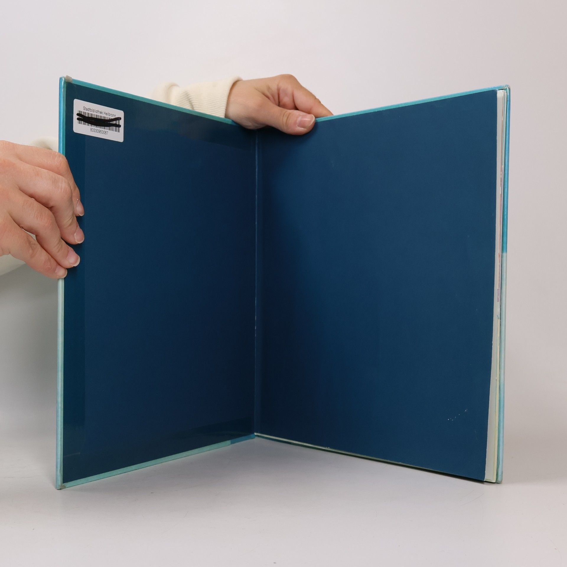 Oliver Jeffers Pinguin gefunden