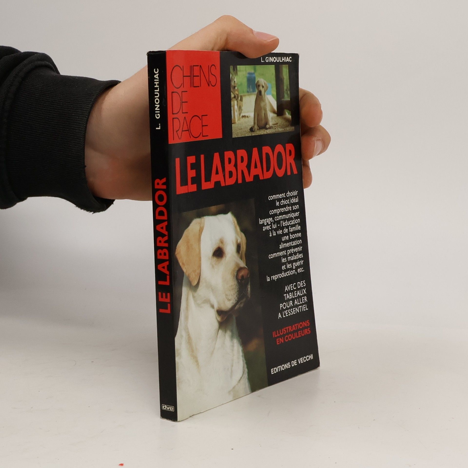 Luisa Ginoulhiac Le labrador