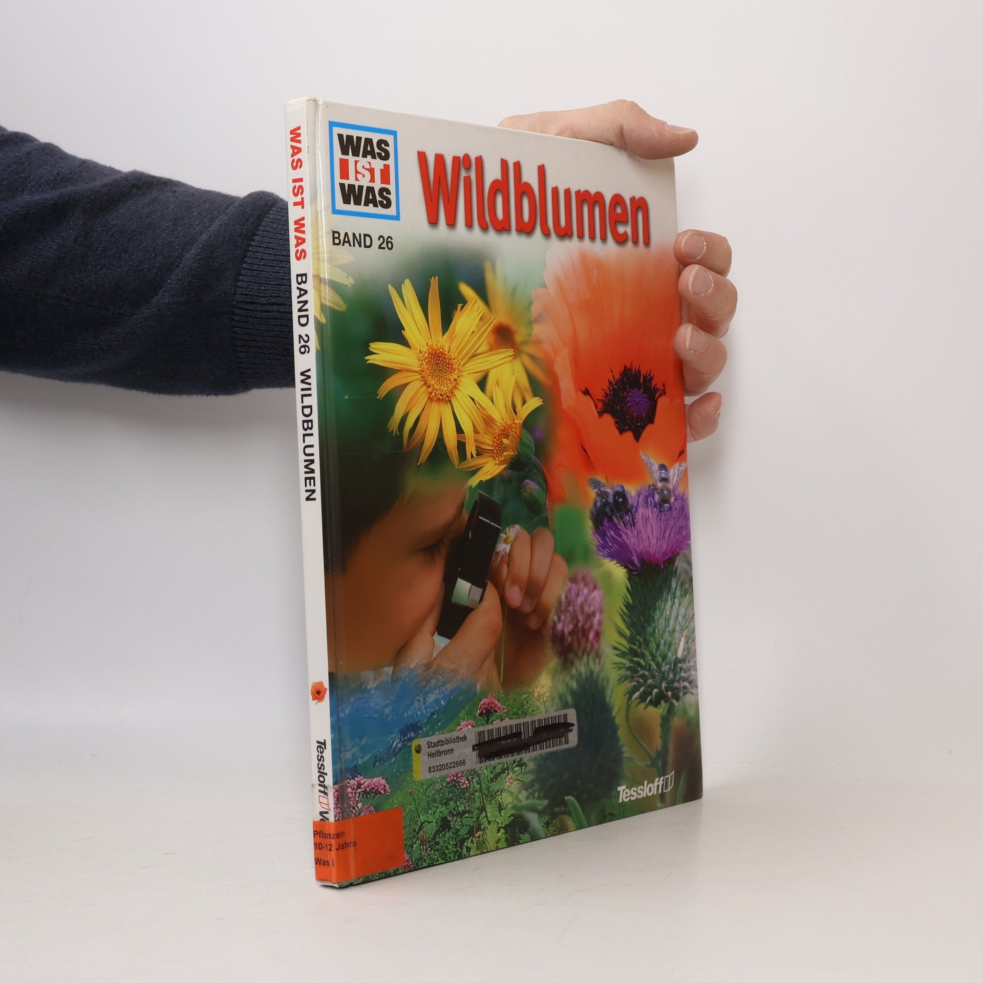Andreas Zeugner Wilde Blumen 26
