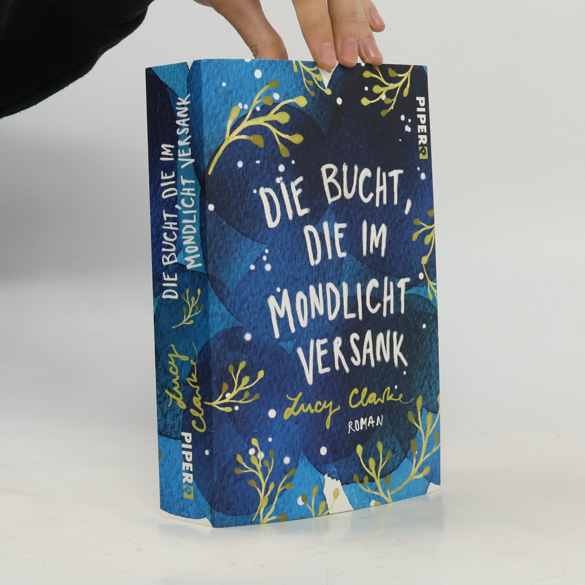Lucy Clarke Die Bucht, die im Mondlicht versank
