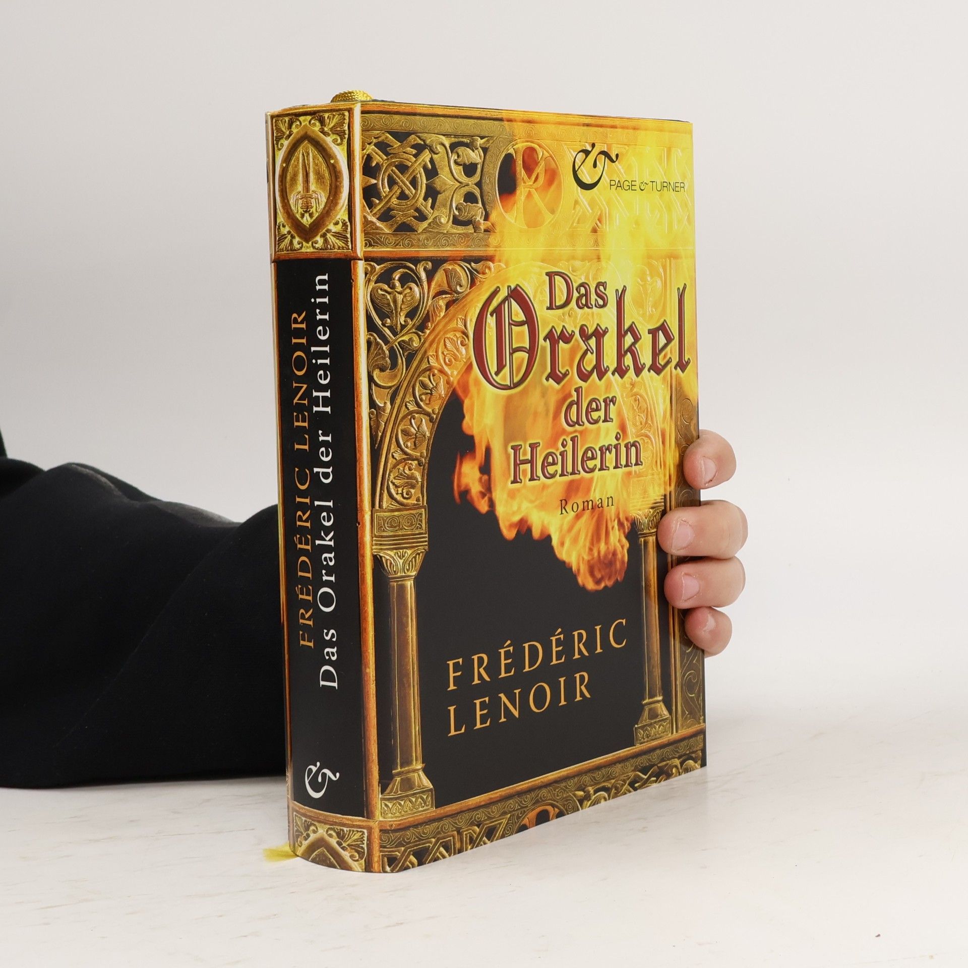 Frédéric Lenoir Das Orakel der Heilerin