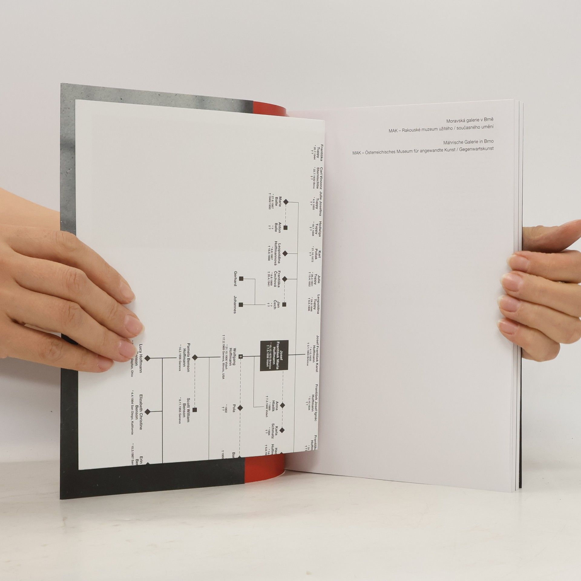 Josef Hoffmann Josef Hoffmann - autobiografie : [Selbstbiographie]