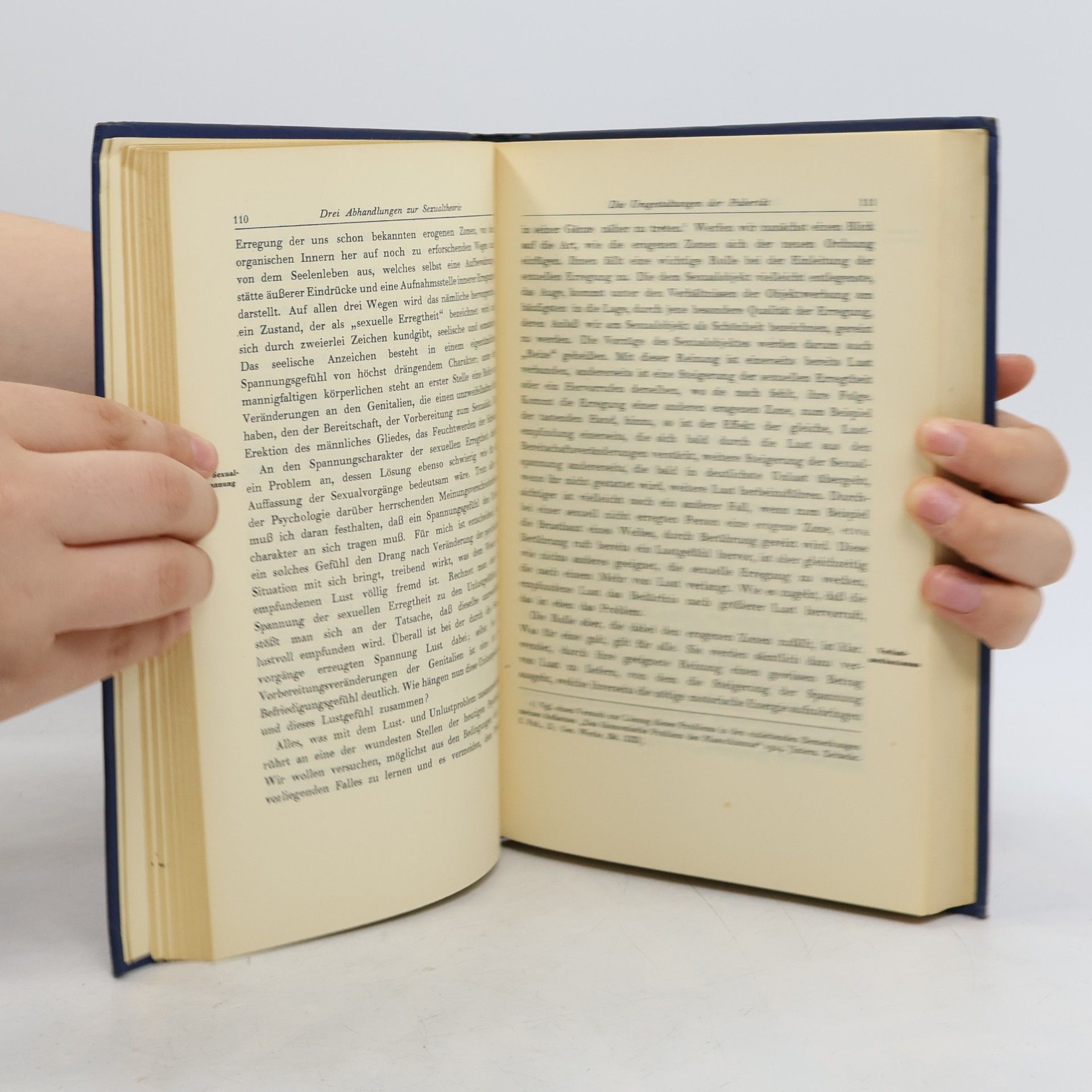 Marie Bonaparte Gesammelte Werke: V: Werke aus den Jahren 1904-1905