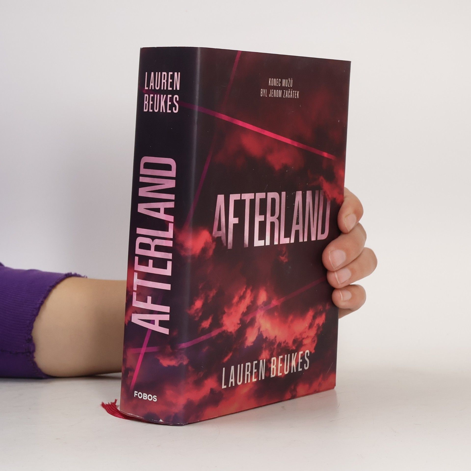 Lauren Beukes Afterland