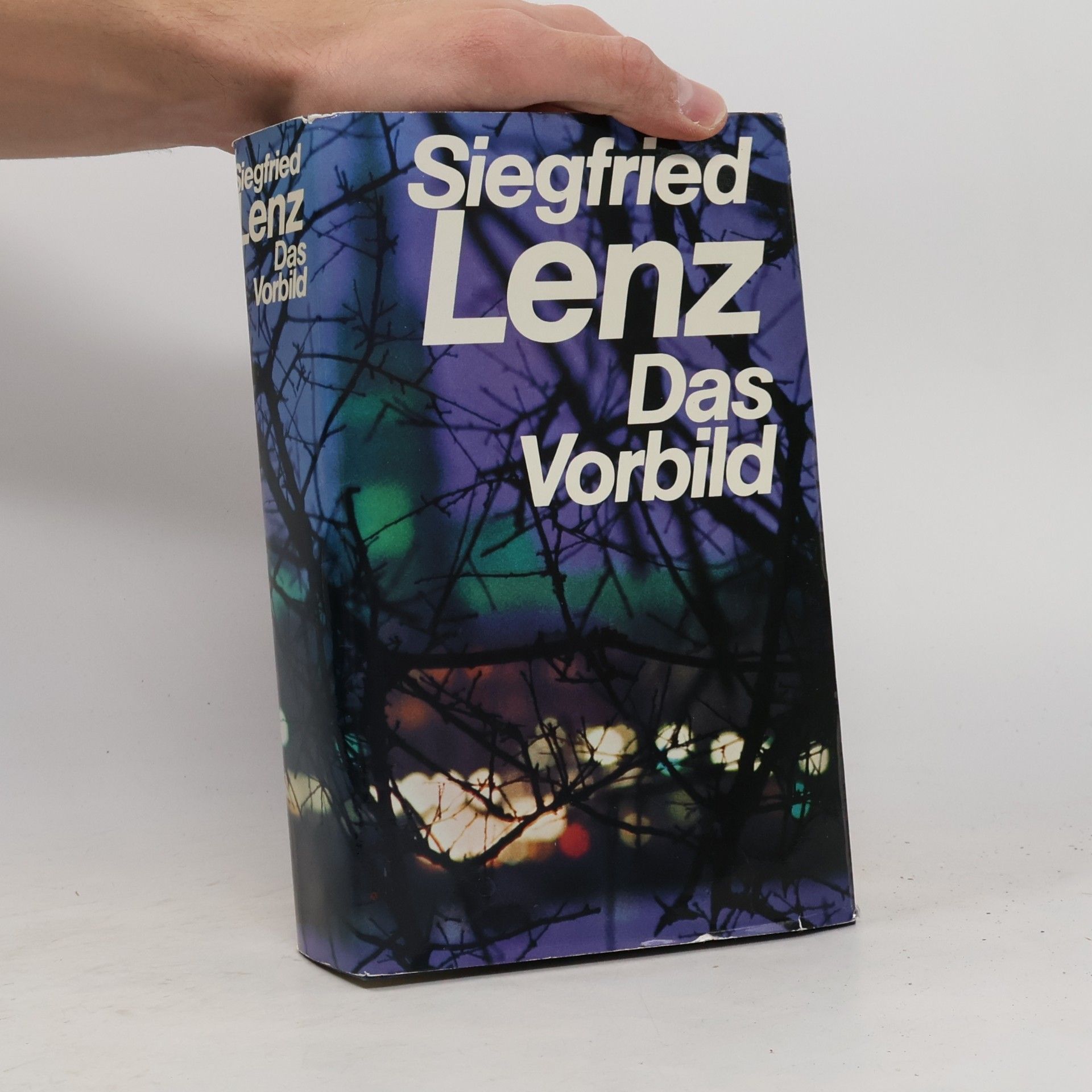 Siegfried Lenz Das Vorbild