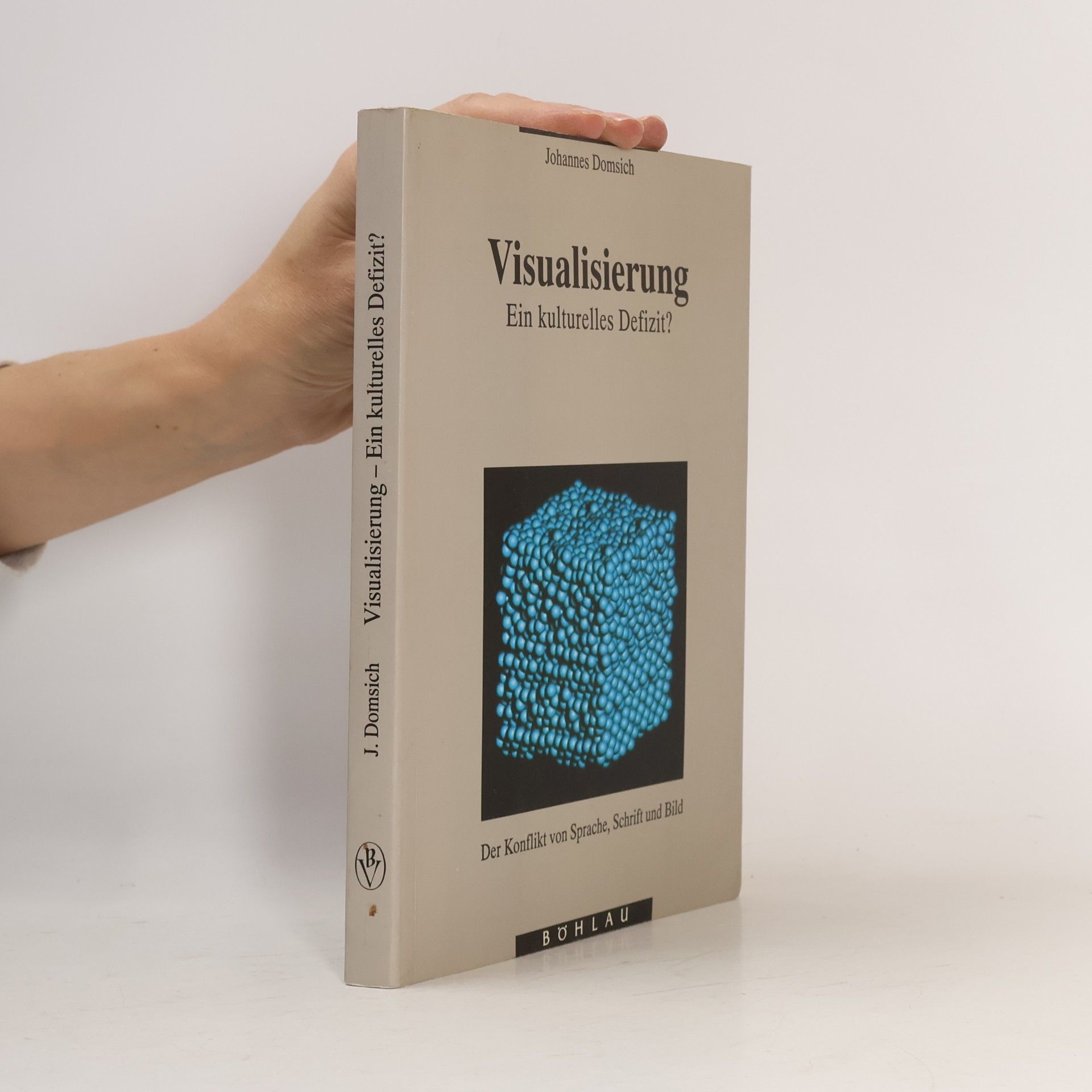 Johannes Domsich Visualisierung - ein kulturelles Defizit?