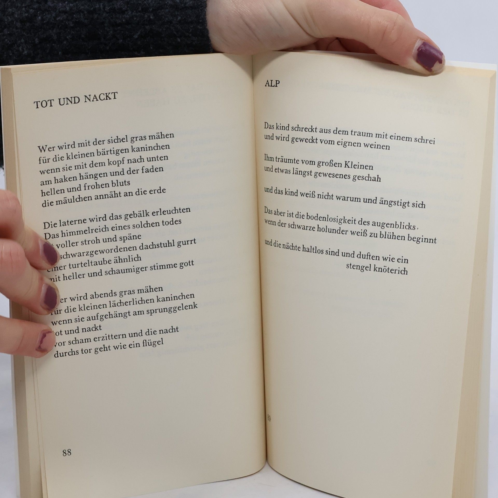 Jan Skácel Wundklee. Gedichte. Mit e. Nachwort v. Reiner Kunze. Mit d. Laudatio zur Verleihung d. Petrarca-Preises v. Peter Handke
