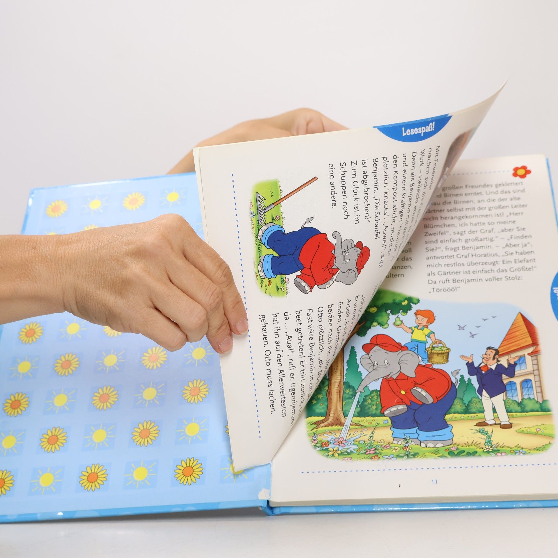 kolektiv Das große Benjamin Blümchen Buch