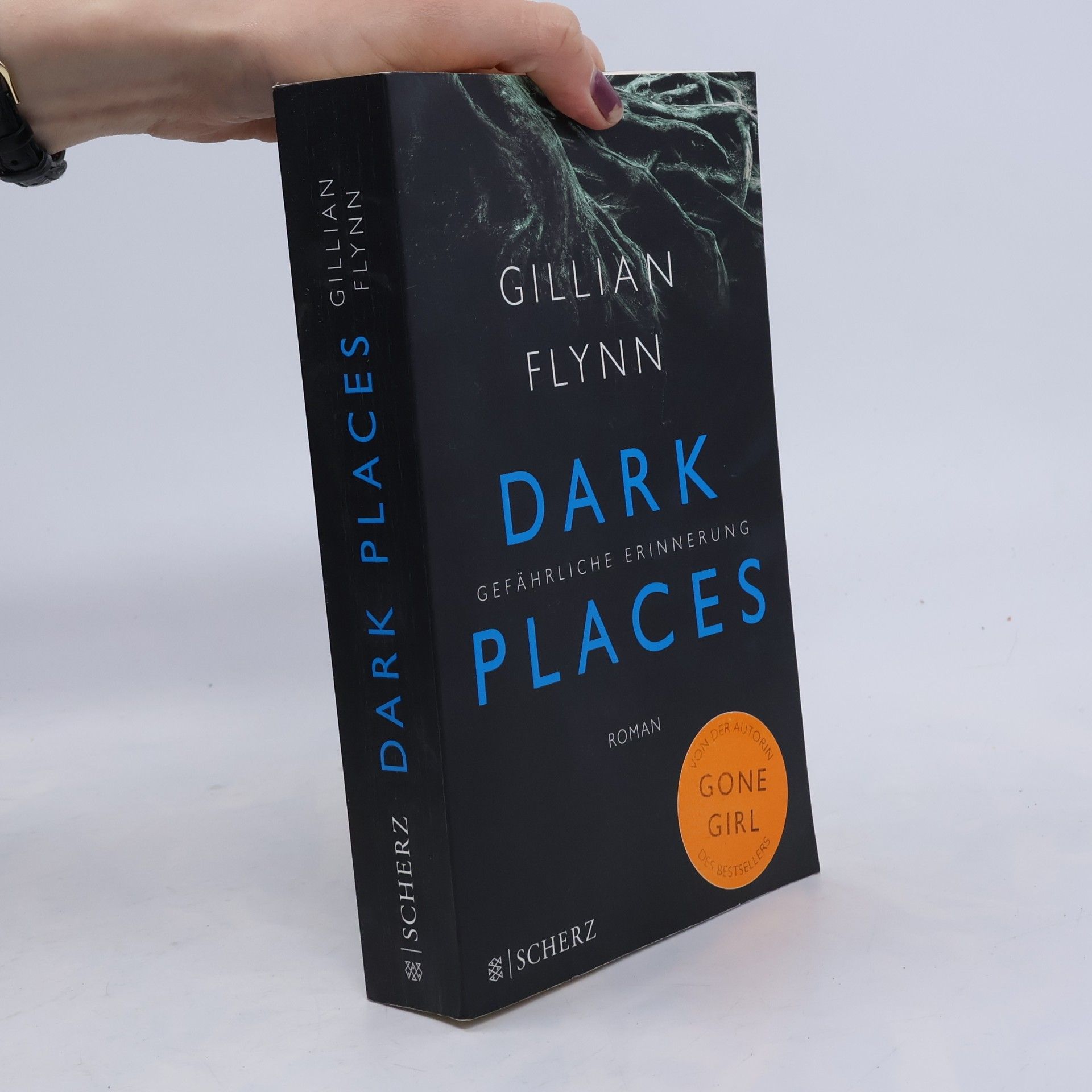 Gillian Flynn Dark places