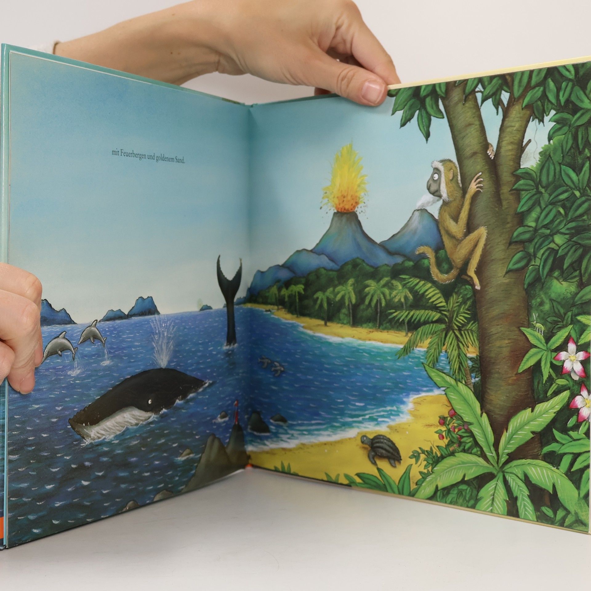 Axel Scheffler Die Schnecke und der Buckelwal