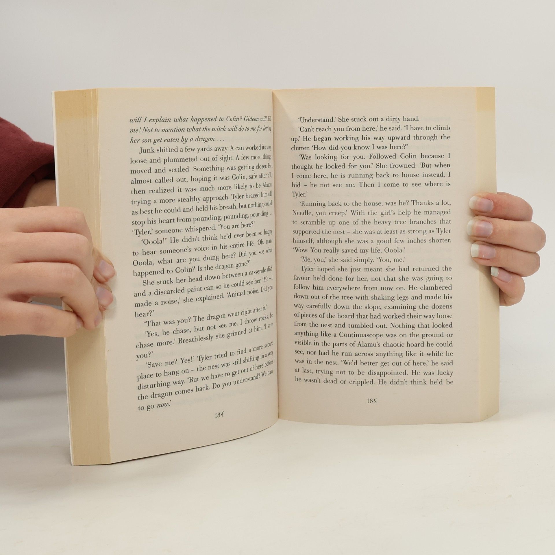Tad Williams The Secrets Of Ordinary Farm. Die Geheimnisse der Tinkerfarm, englische Ausgabe
