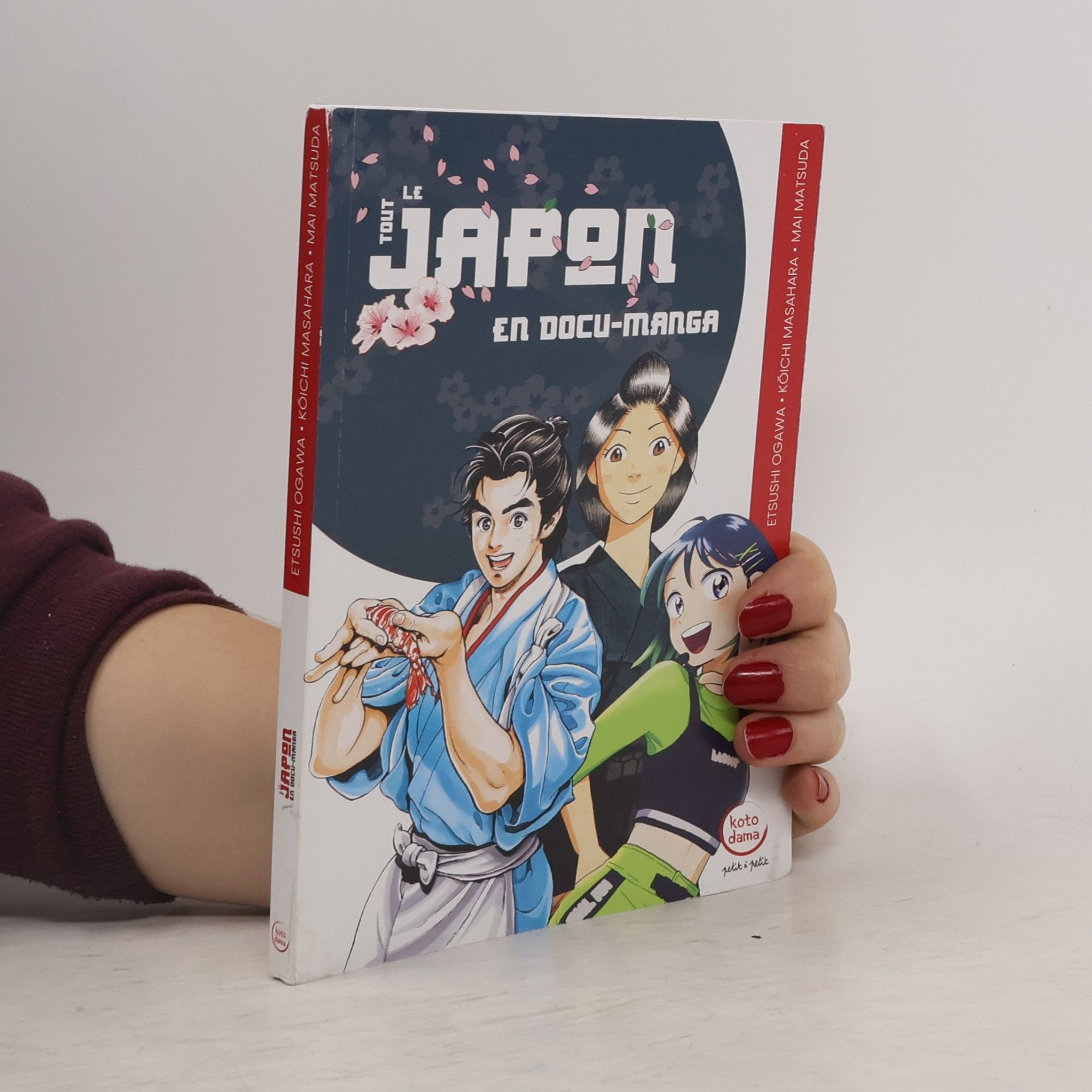 Kolektiv autorů Le tout Japon en docu-manga