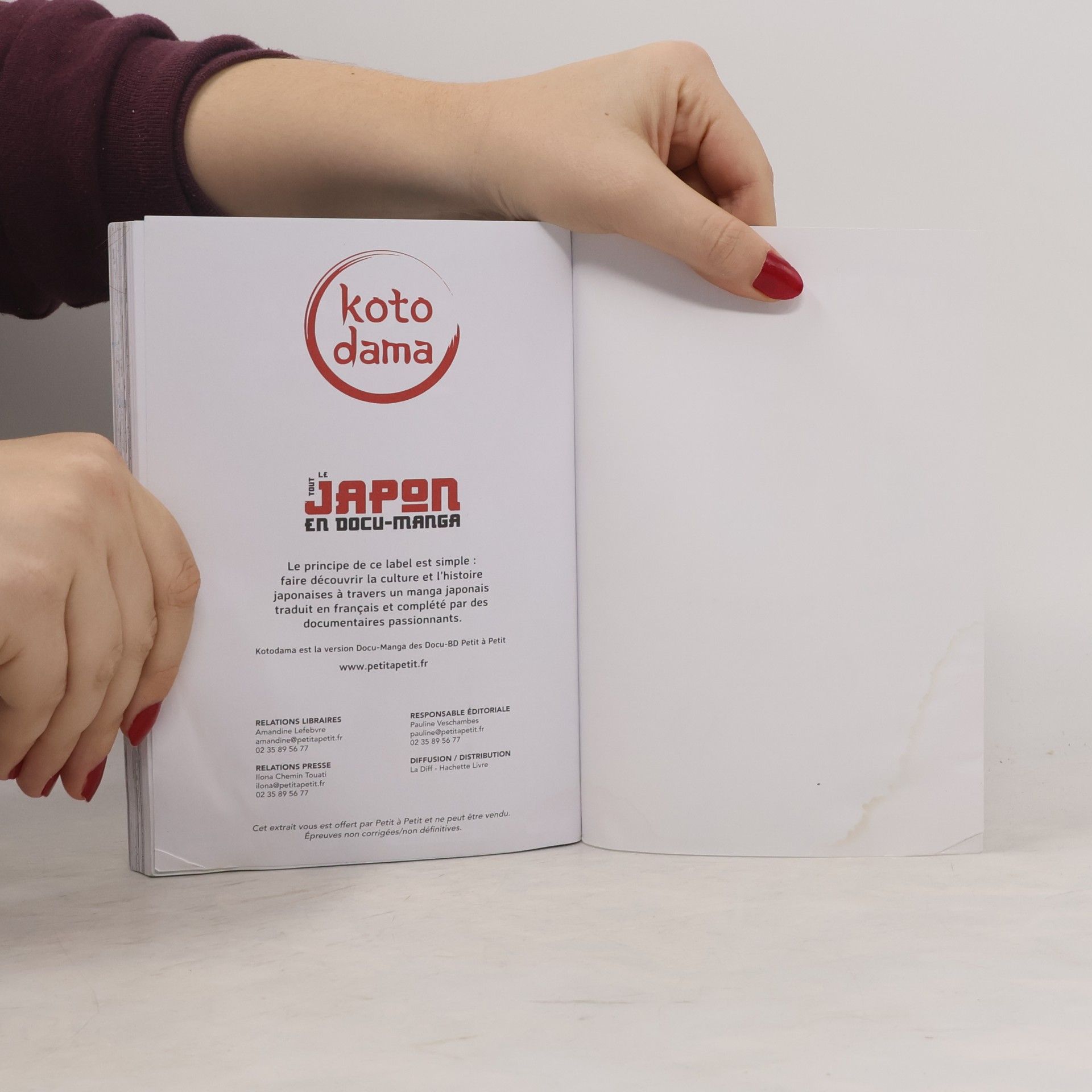 Kolektiv autorů Le tout Japon en docu-manga