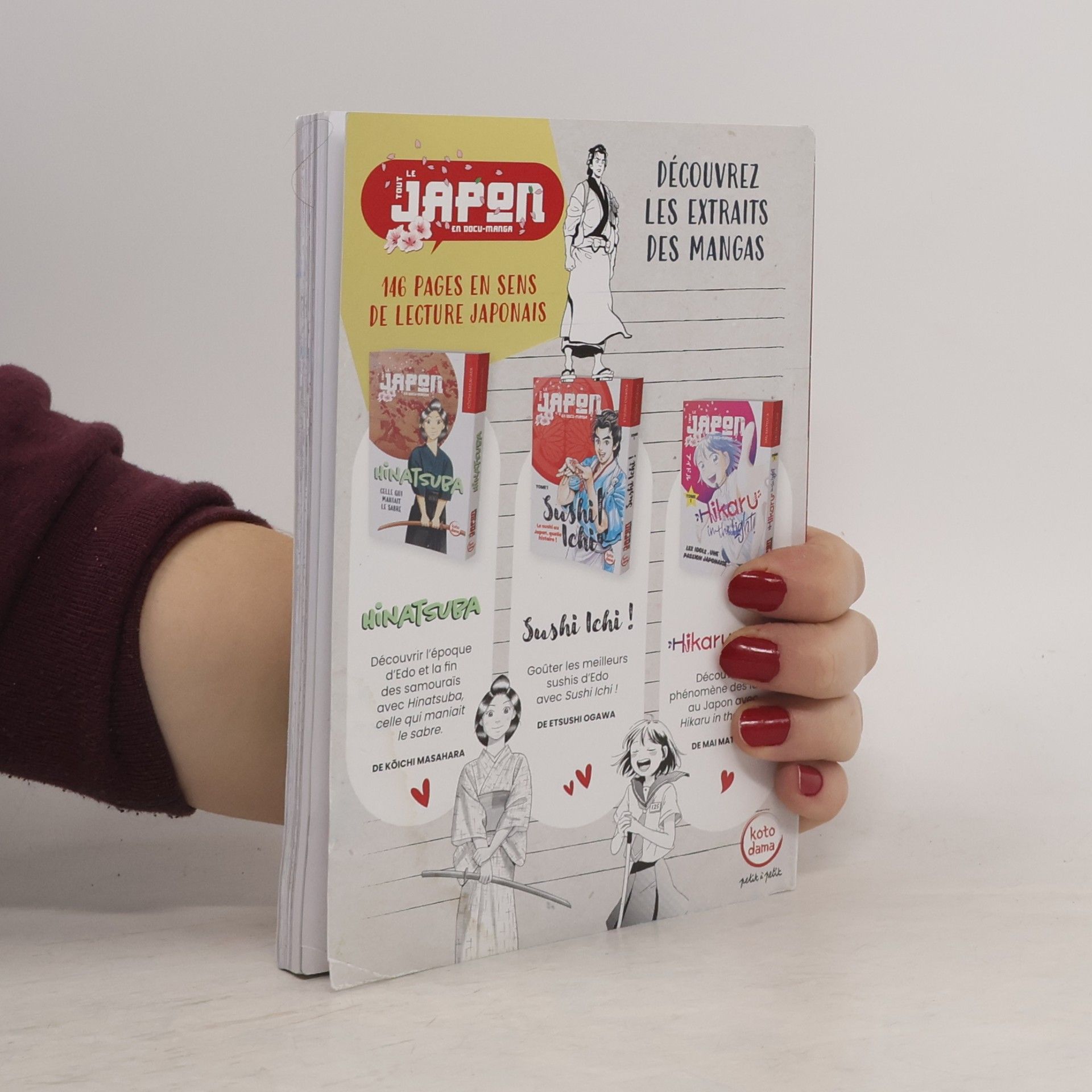 Kolektiv autorů Le tout Japon en docu-manga