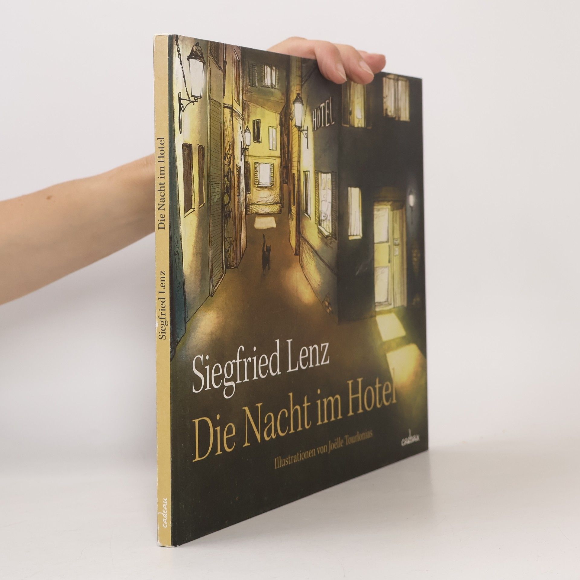 Siegfried Lenz Die Nacht im Hotel
