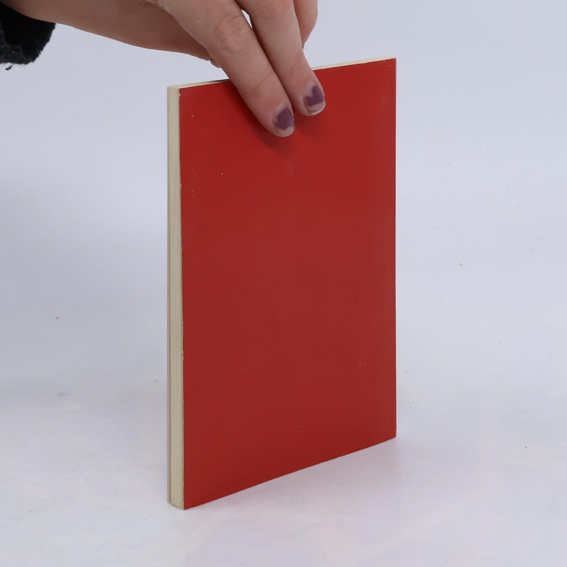Anja Nützi Wörterbuch schweizerdeutsch - deutsch