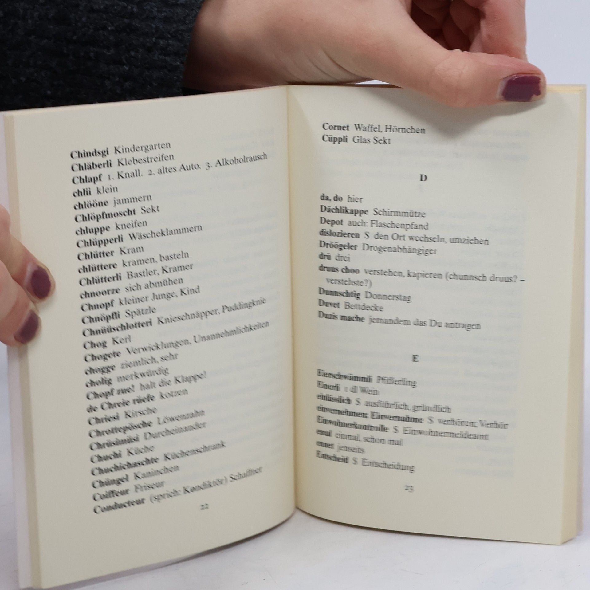 Anja Nützi Wörterbuch schweizerdeutsch - deutsch