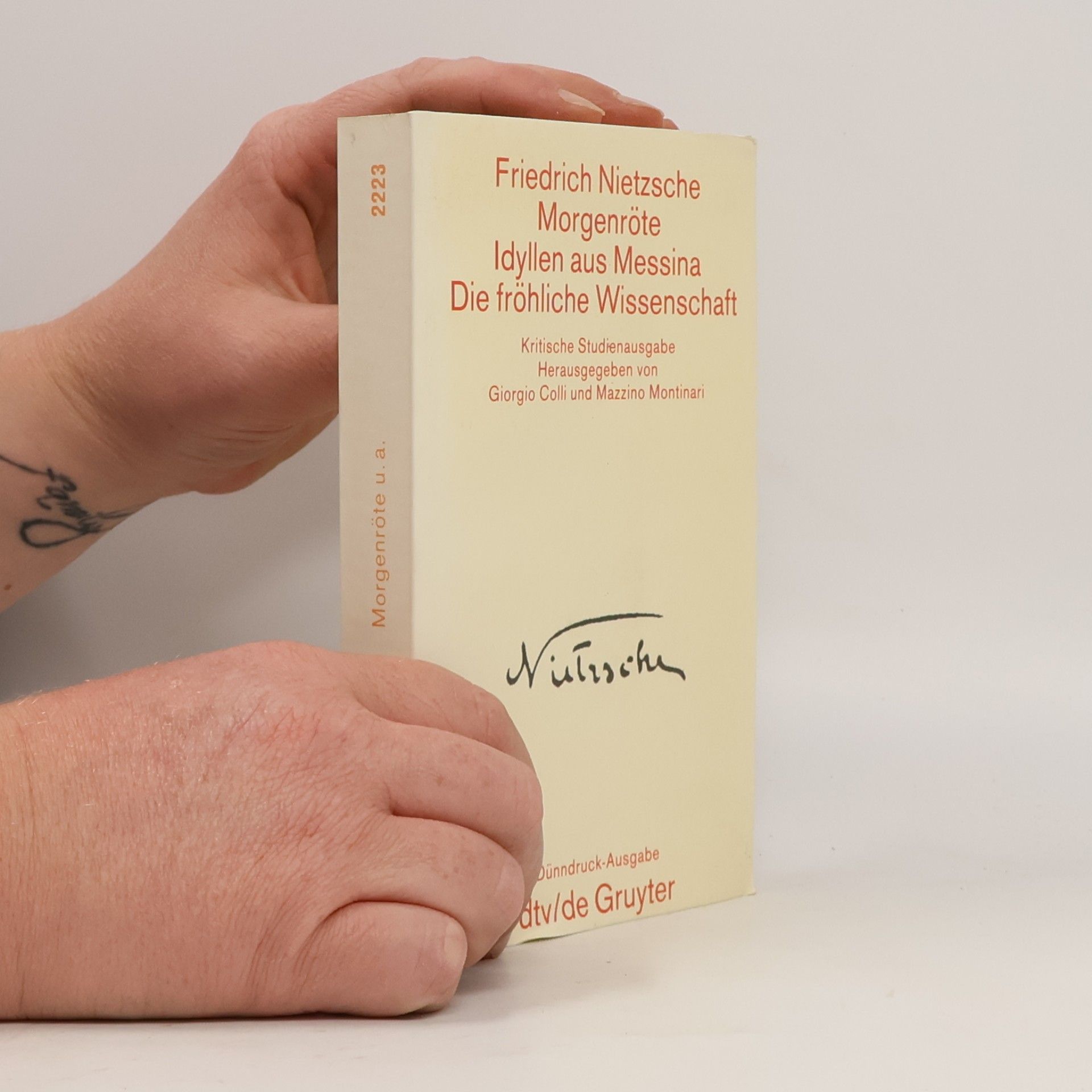 Giorgio Colli Morgenröte; Idyllen aus Messina; Die fröhliche Wissenschaft