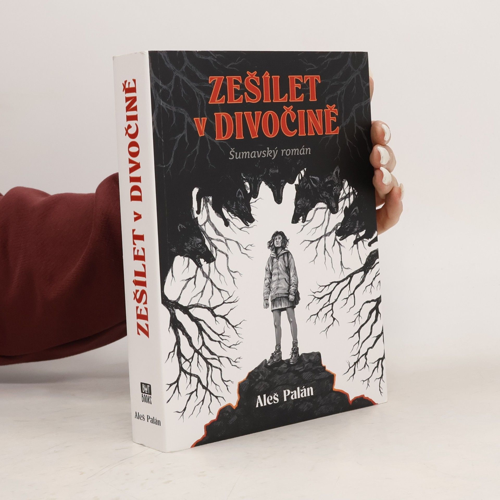 Aleš Palán Zešílet v divočině