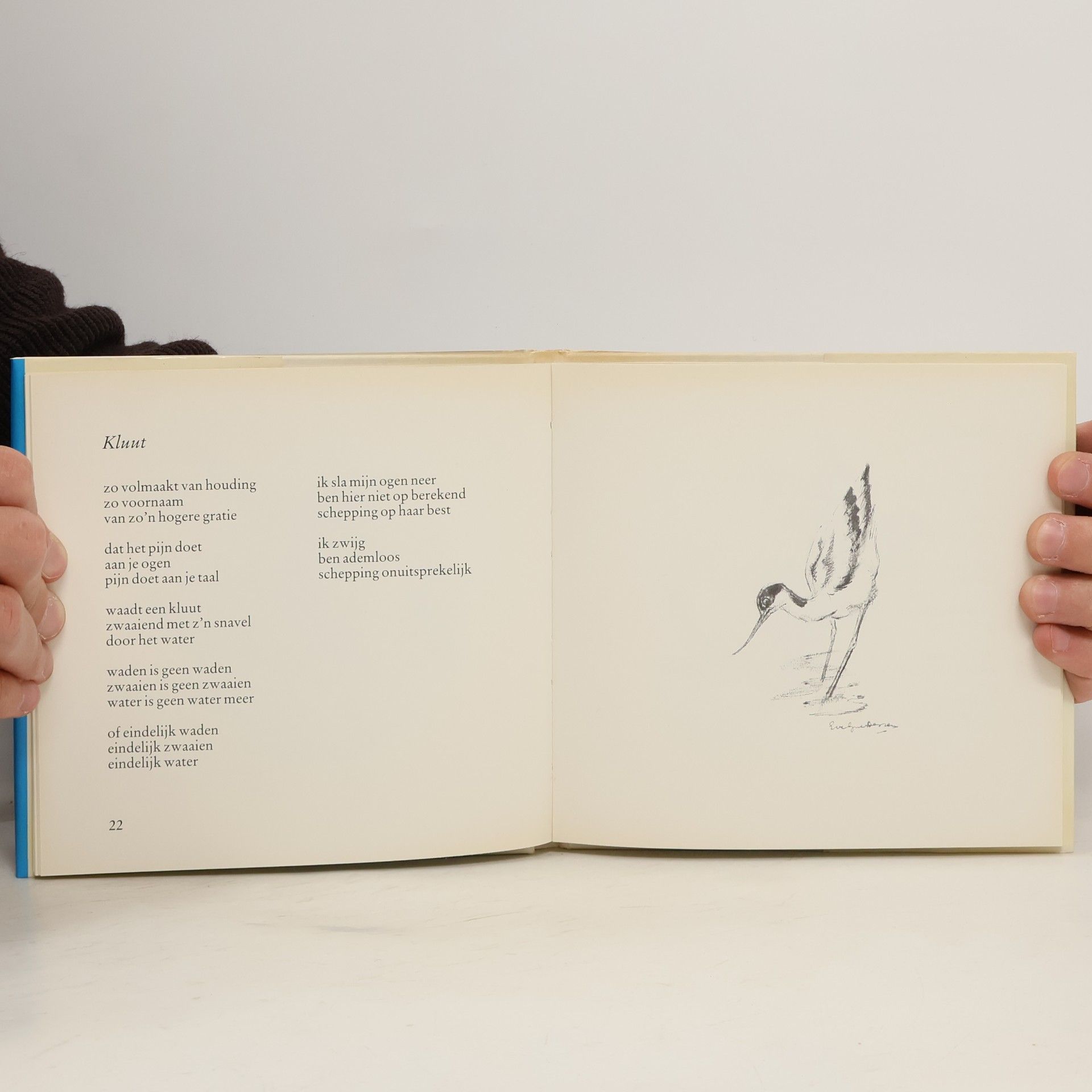 Hans Bouma Zolang er vogels zijn