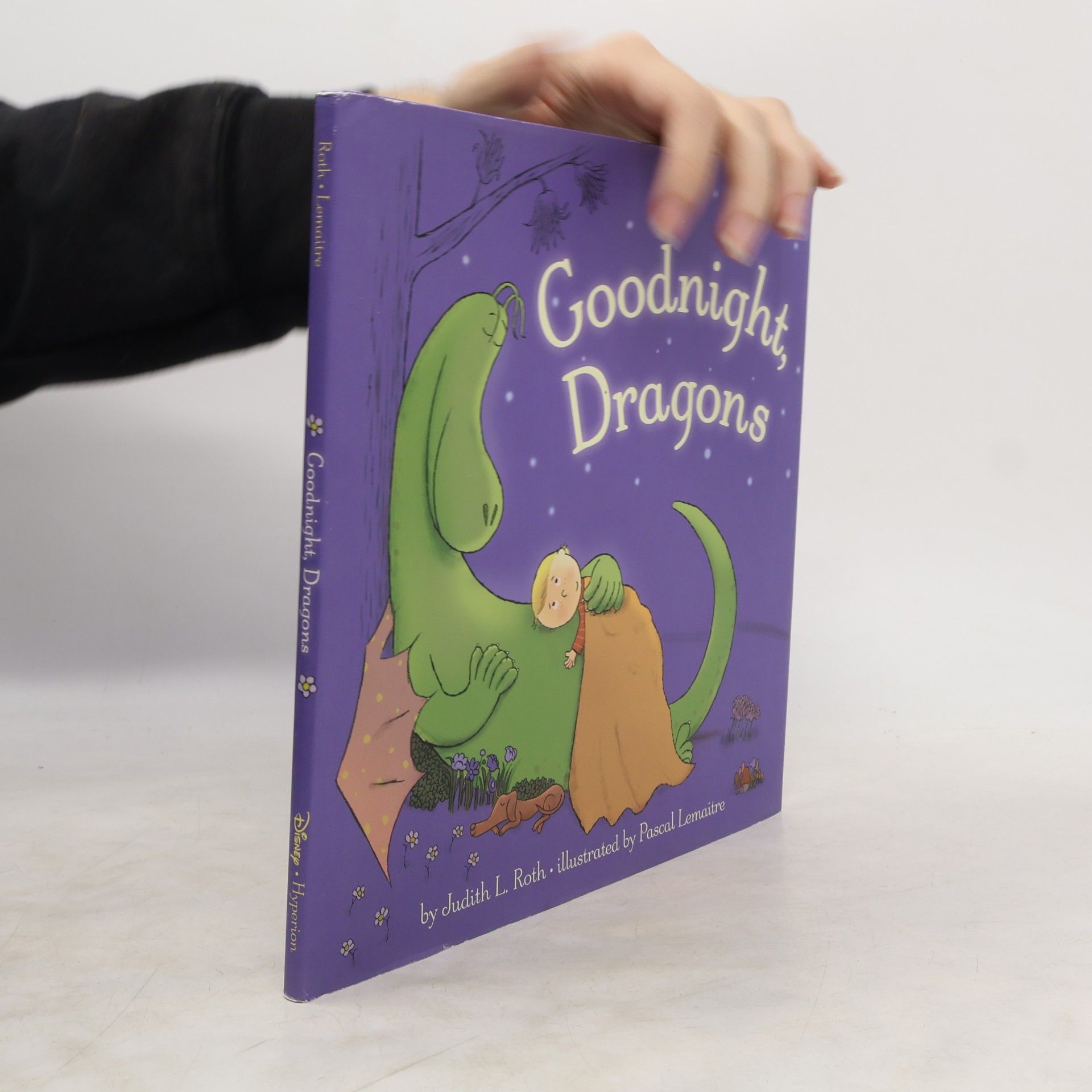 Judith L. Roth Goodnight, Dragons