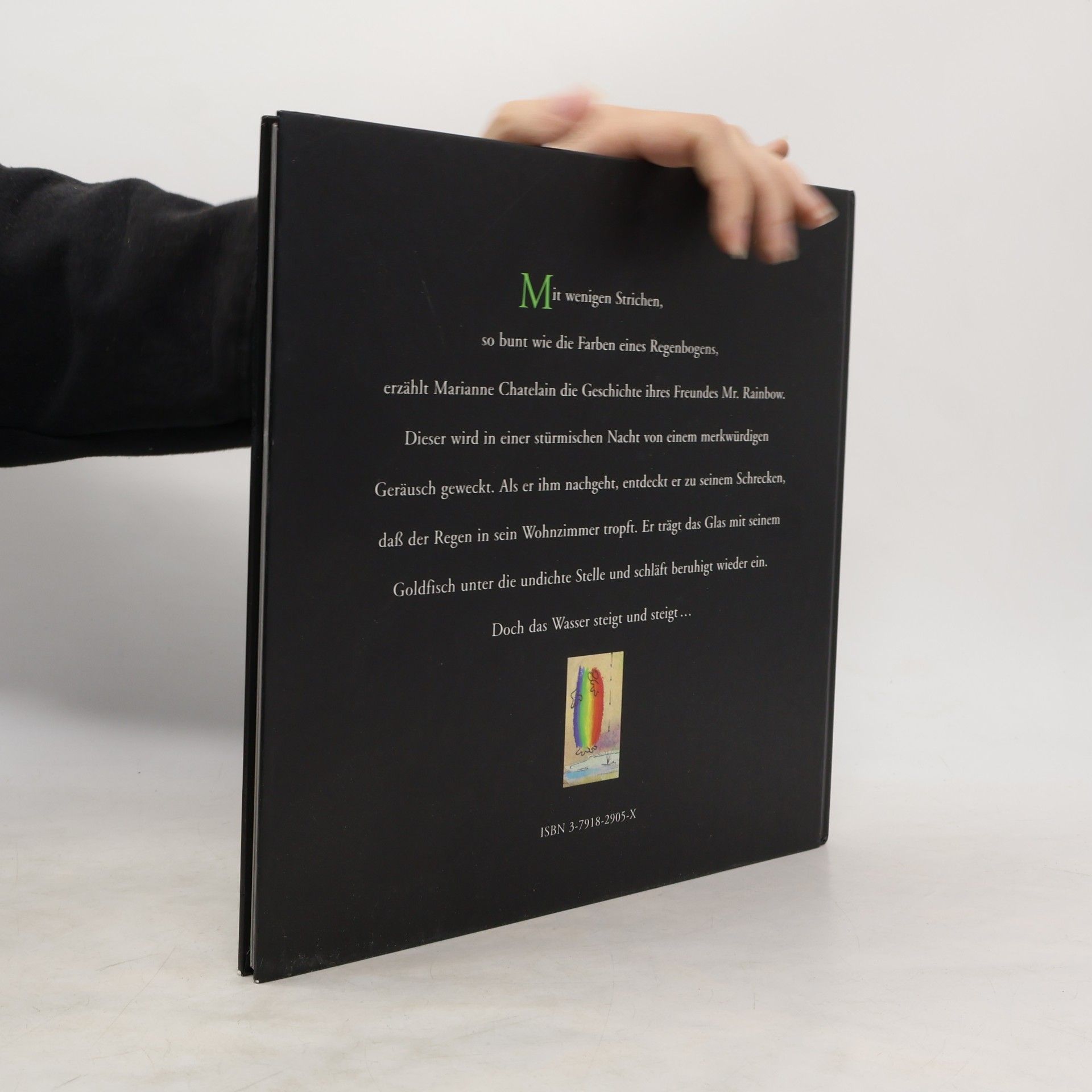 Marianne Chatelain Mr. Rainbow und der Regen