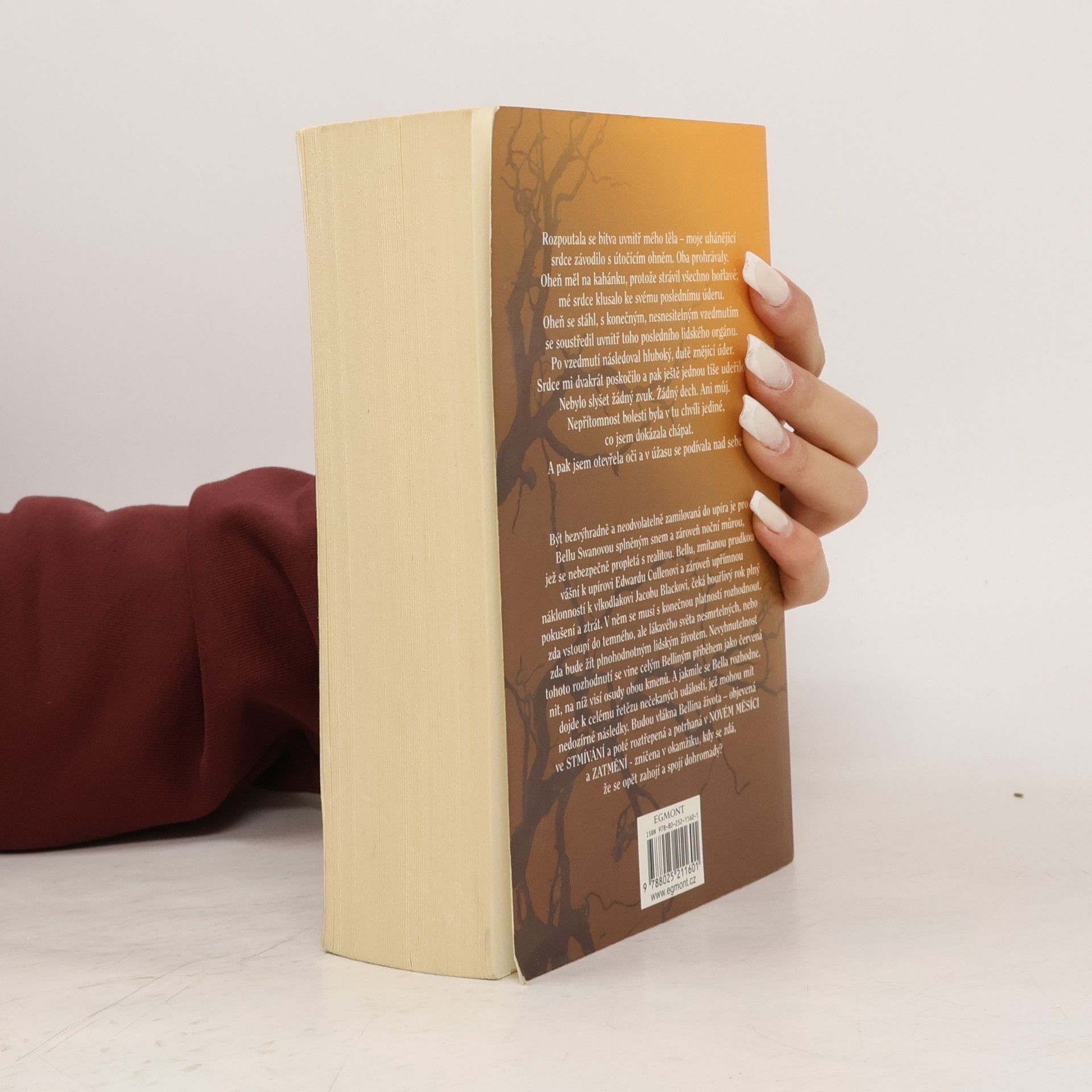 Stephenie Meyer Rozbřesk