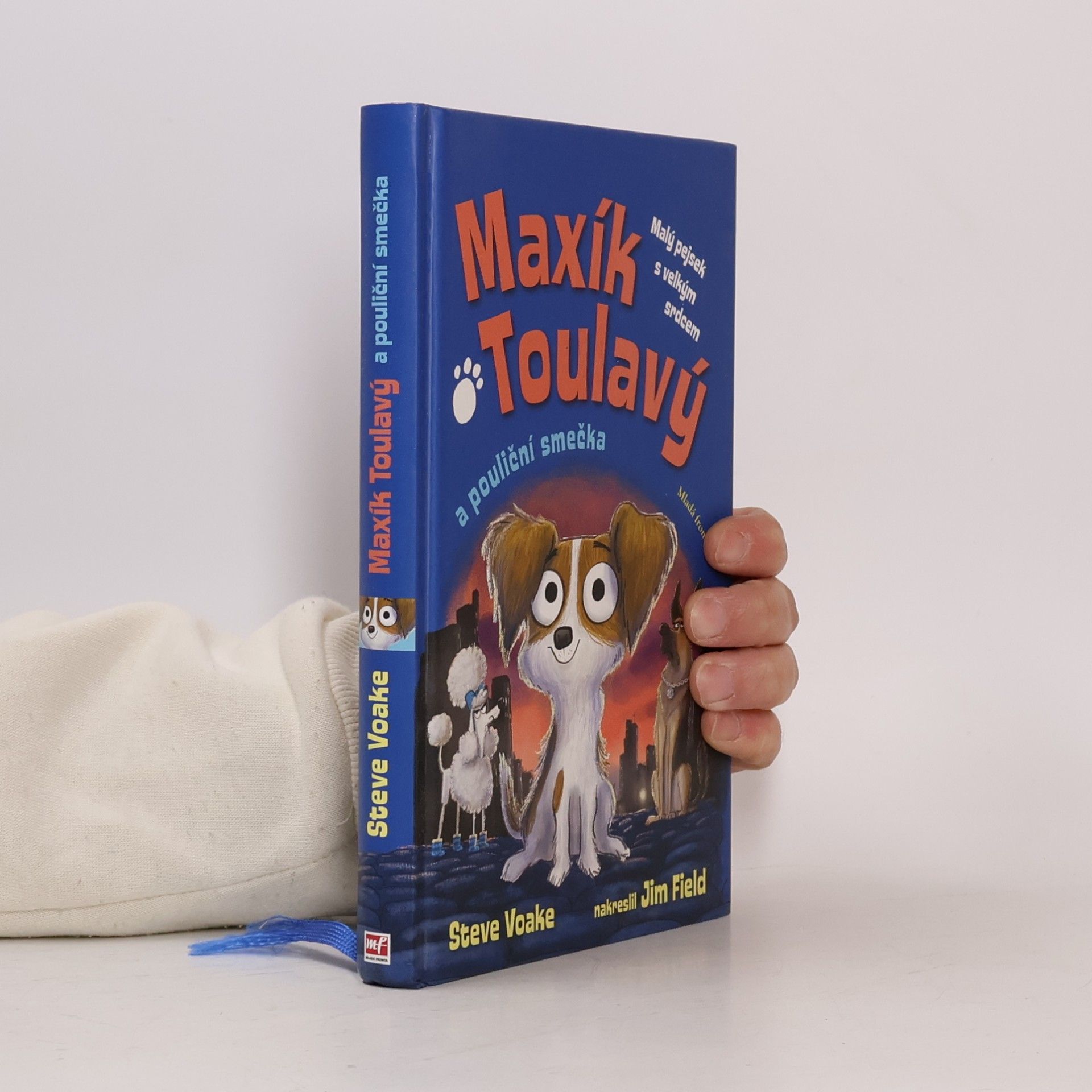 Steve Voake Maxík Toulavý a pouliční smečka