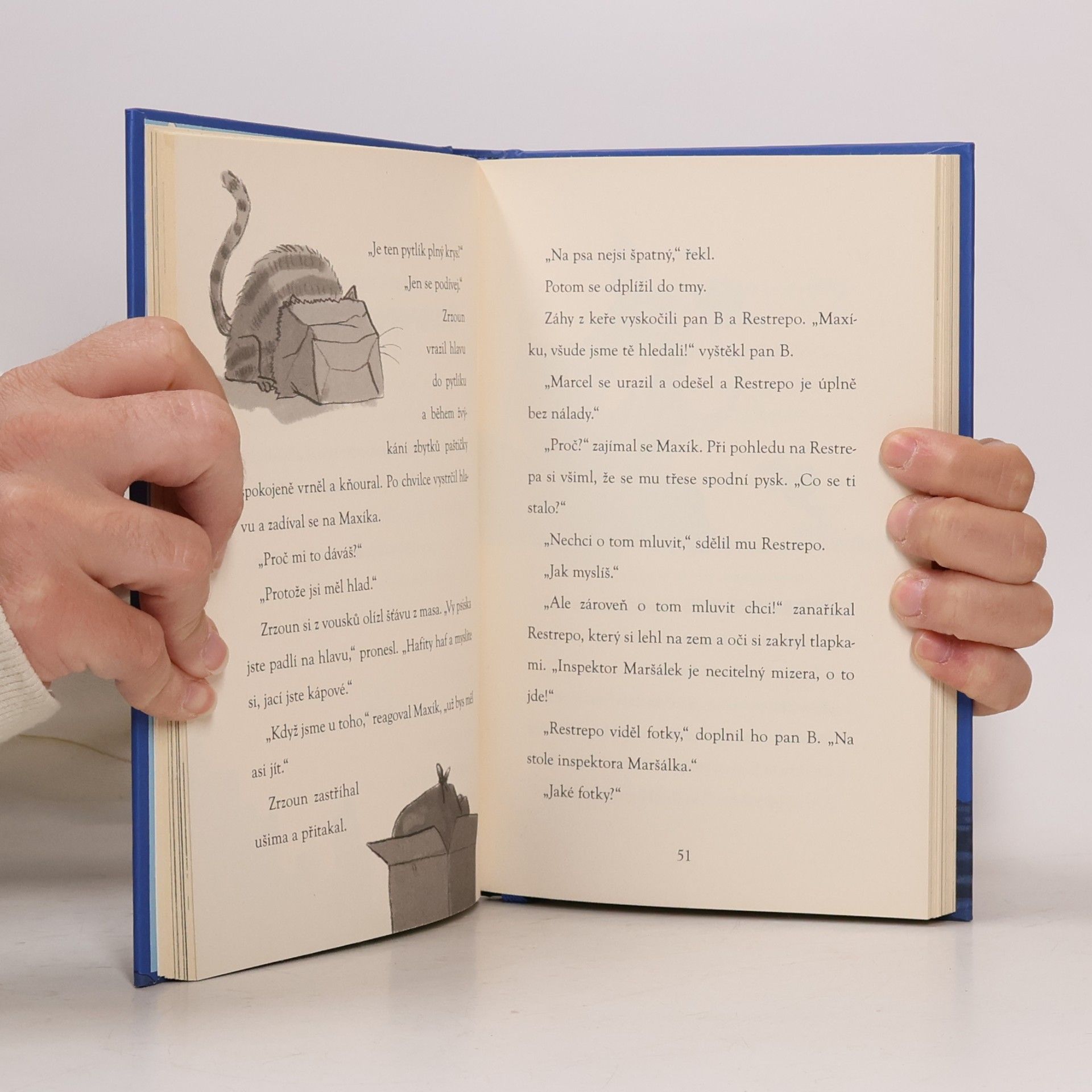Steve Voake Maxík Toulavý a pouliční smečka