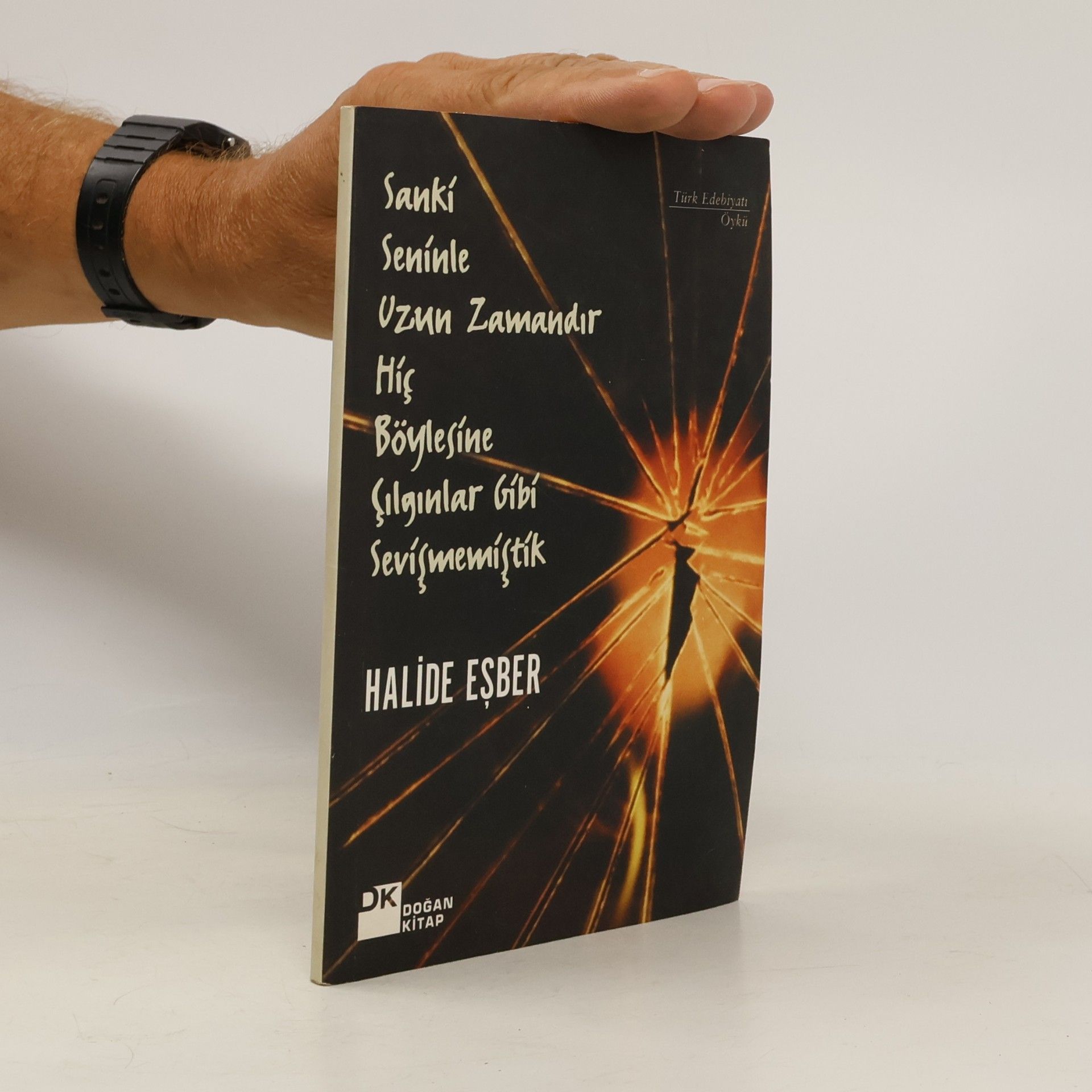Halide Eşber Sanki seninle uzun zamandır hiç böylesine çılgınlar gibi sevişmemiştik