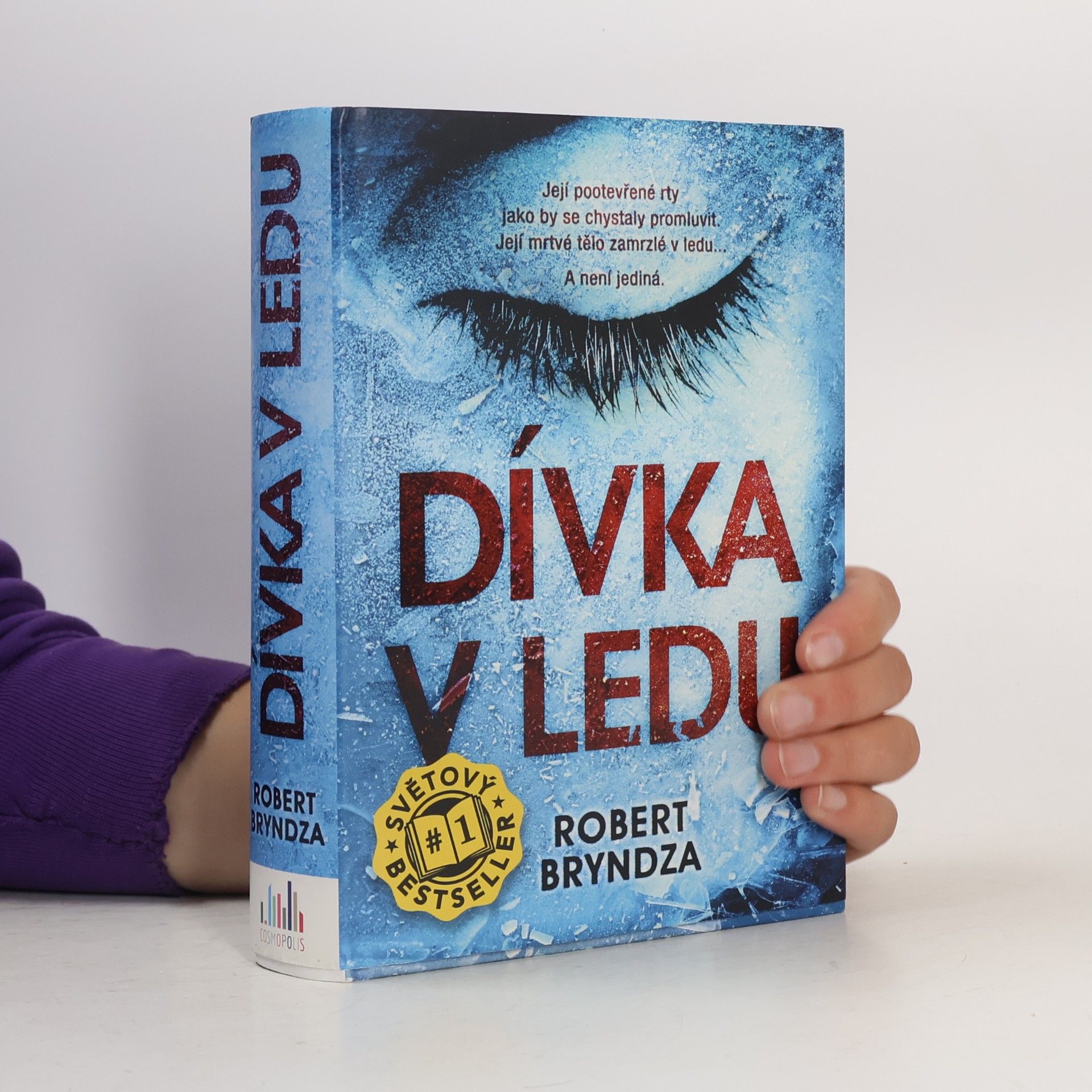 Robert Bryndza Dívka v ledu