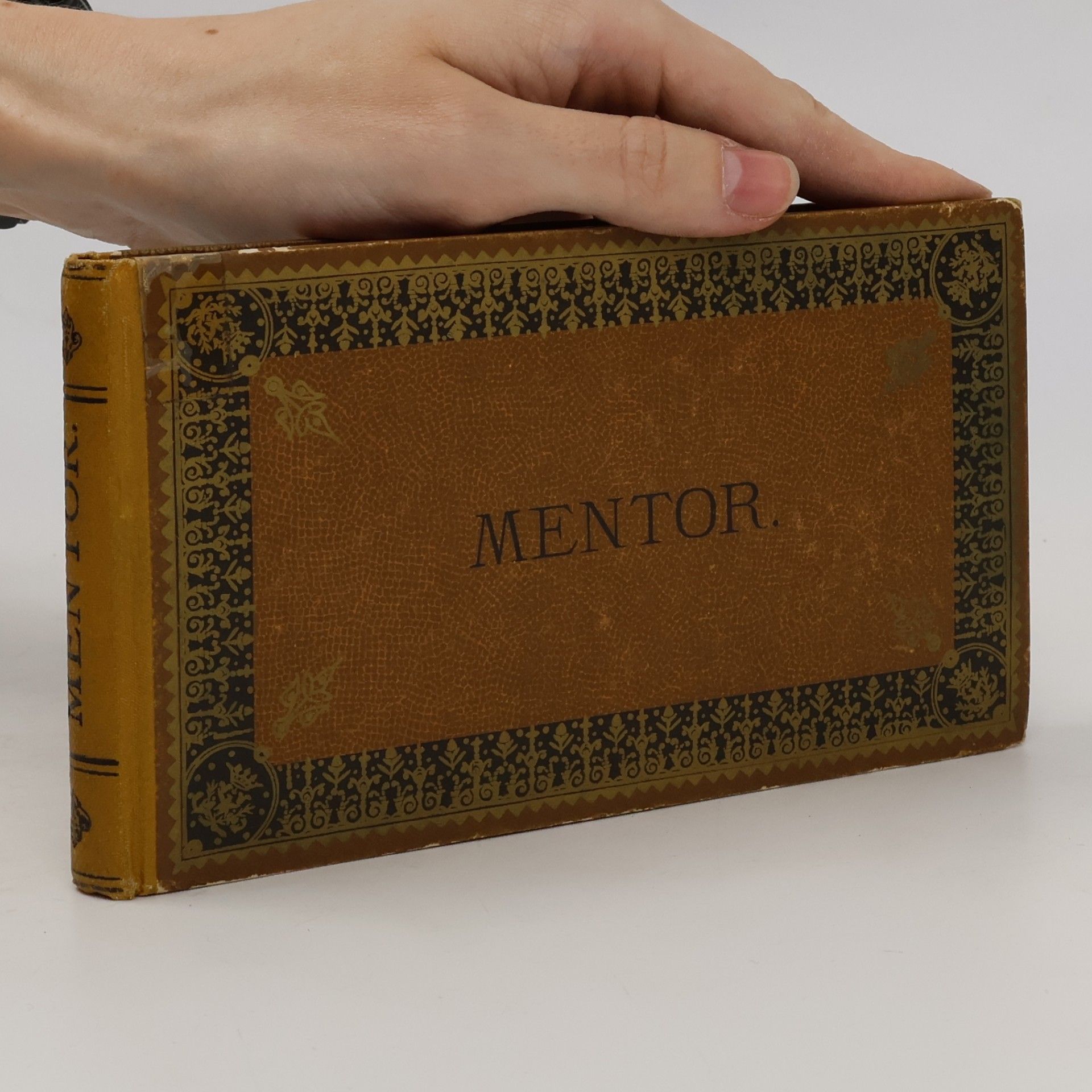 MENTOR.