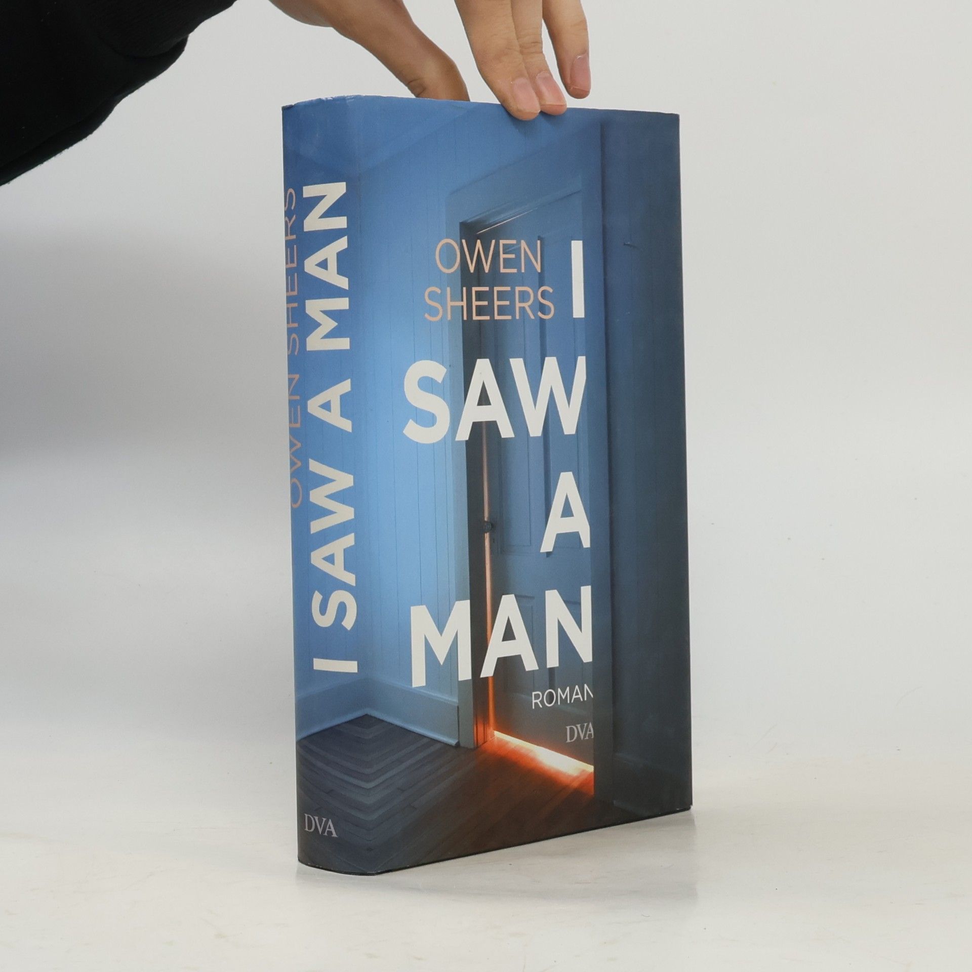 Owen Sheers I Saw a Man
