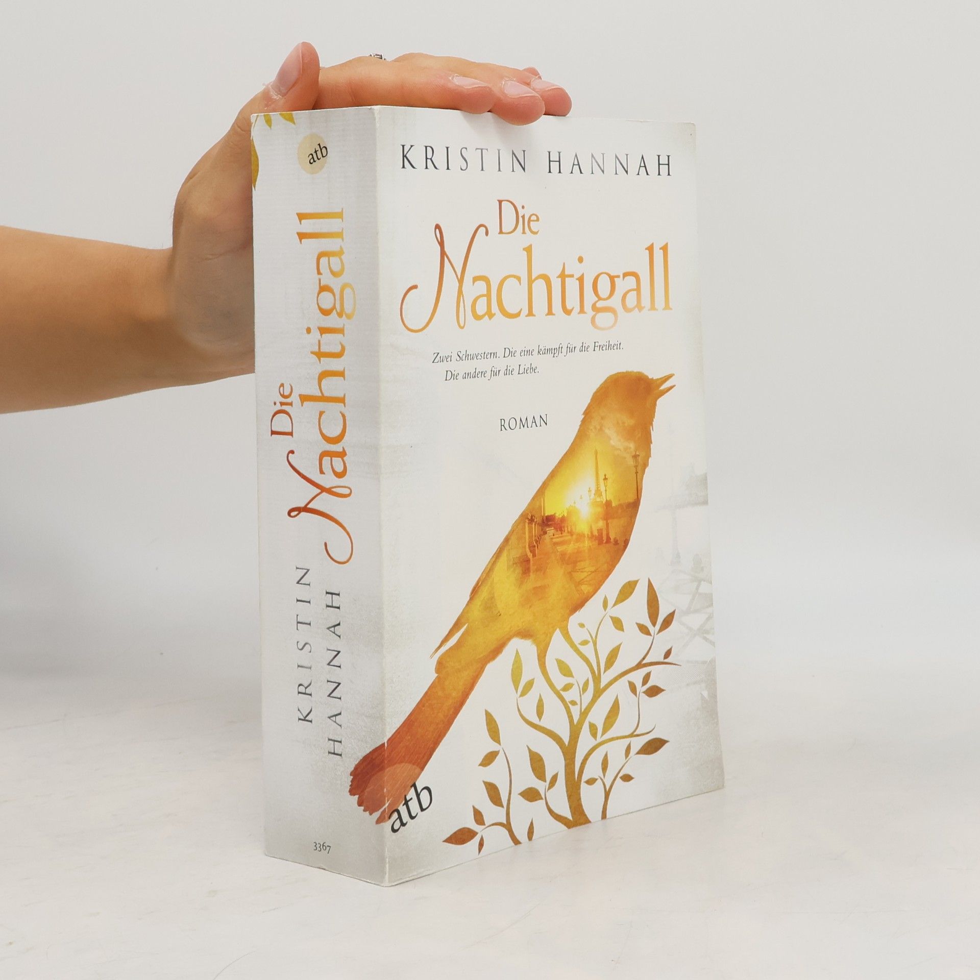 Kristin Hannah Die Nachtigall
