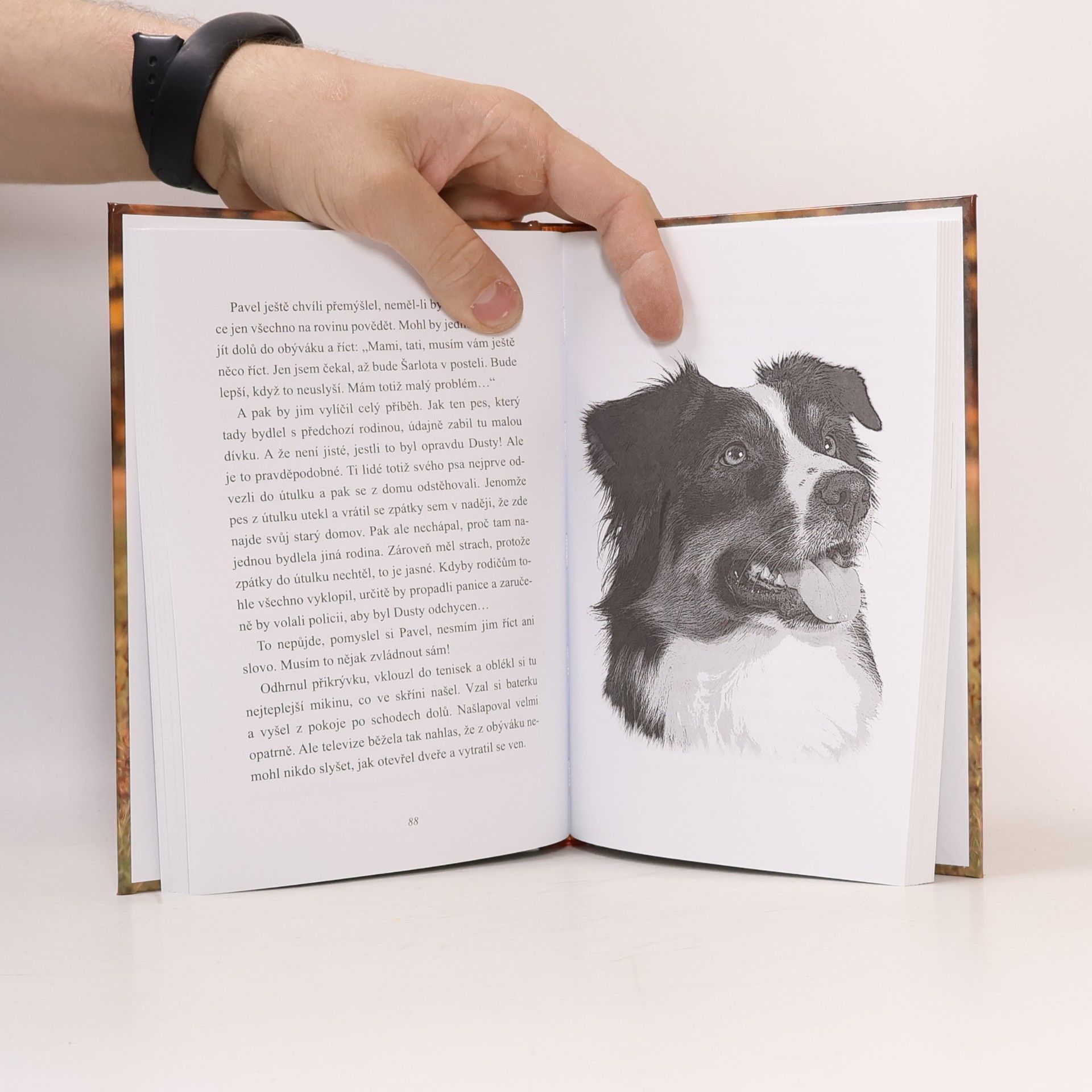 Wolfram Hänel Dusty: Kamarádi navždy