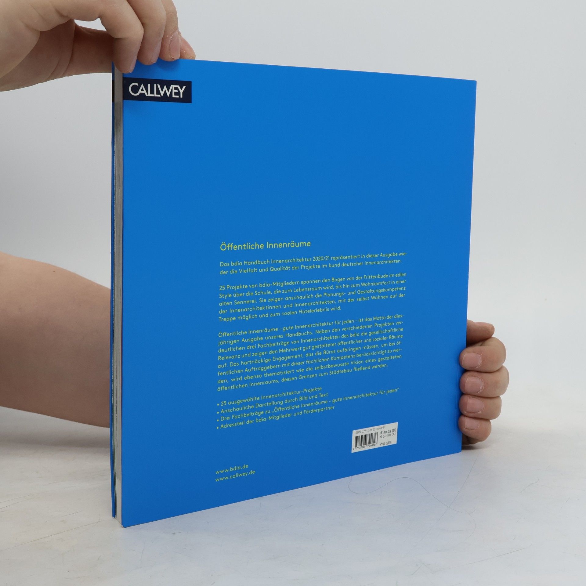 Autorenkollektiv bdia Handbuch Innenarchitektur 2020/21
