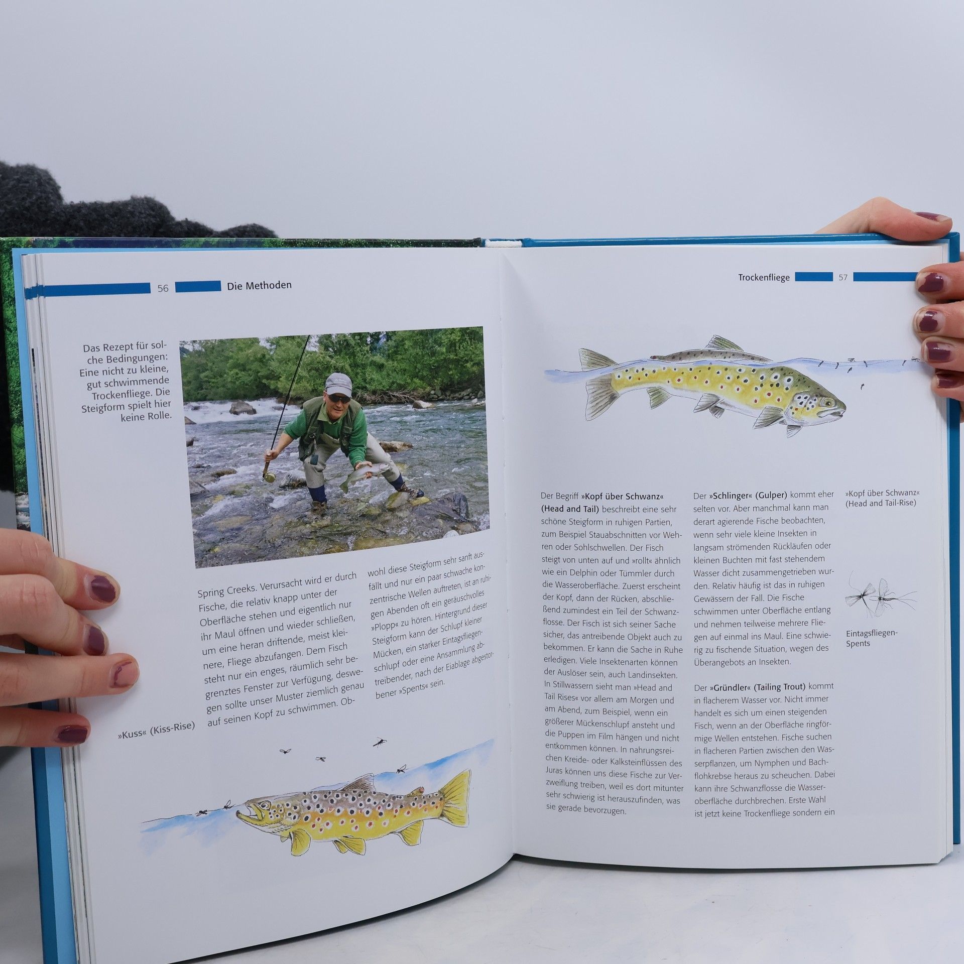 Hans Eiber Das Praxisbuch für Fliegenfischer