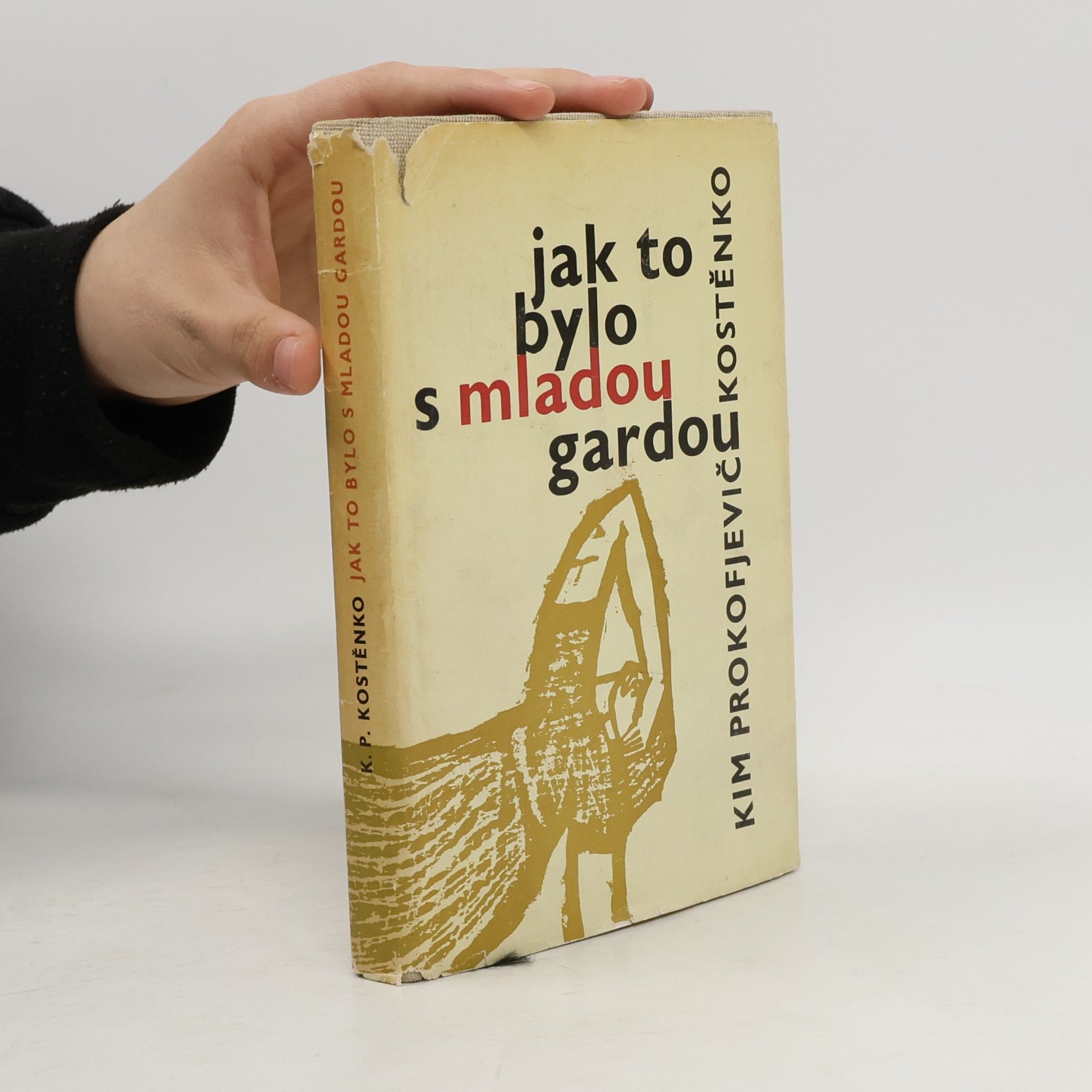 Kim Prokof‘jevič Kostenko Jak to bylo s mladou gardou