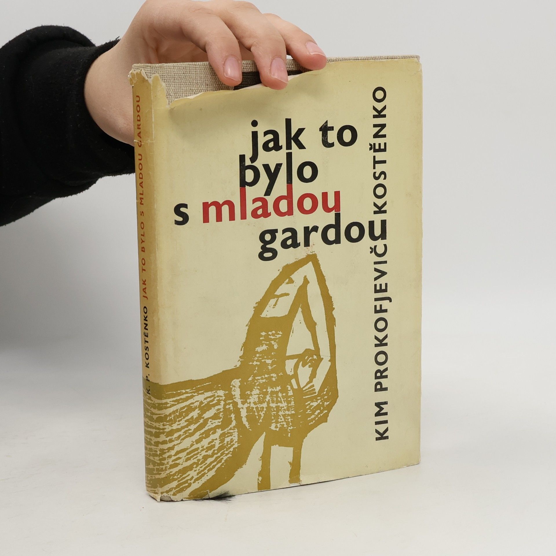 Kim Prokof‘jevič Kostenko Jak to bylo s mladou gardou