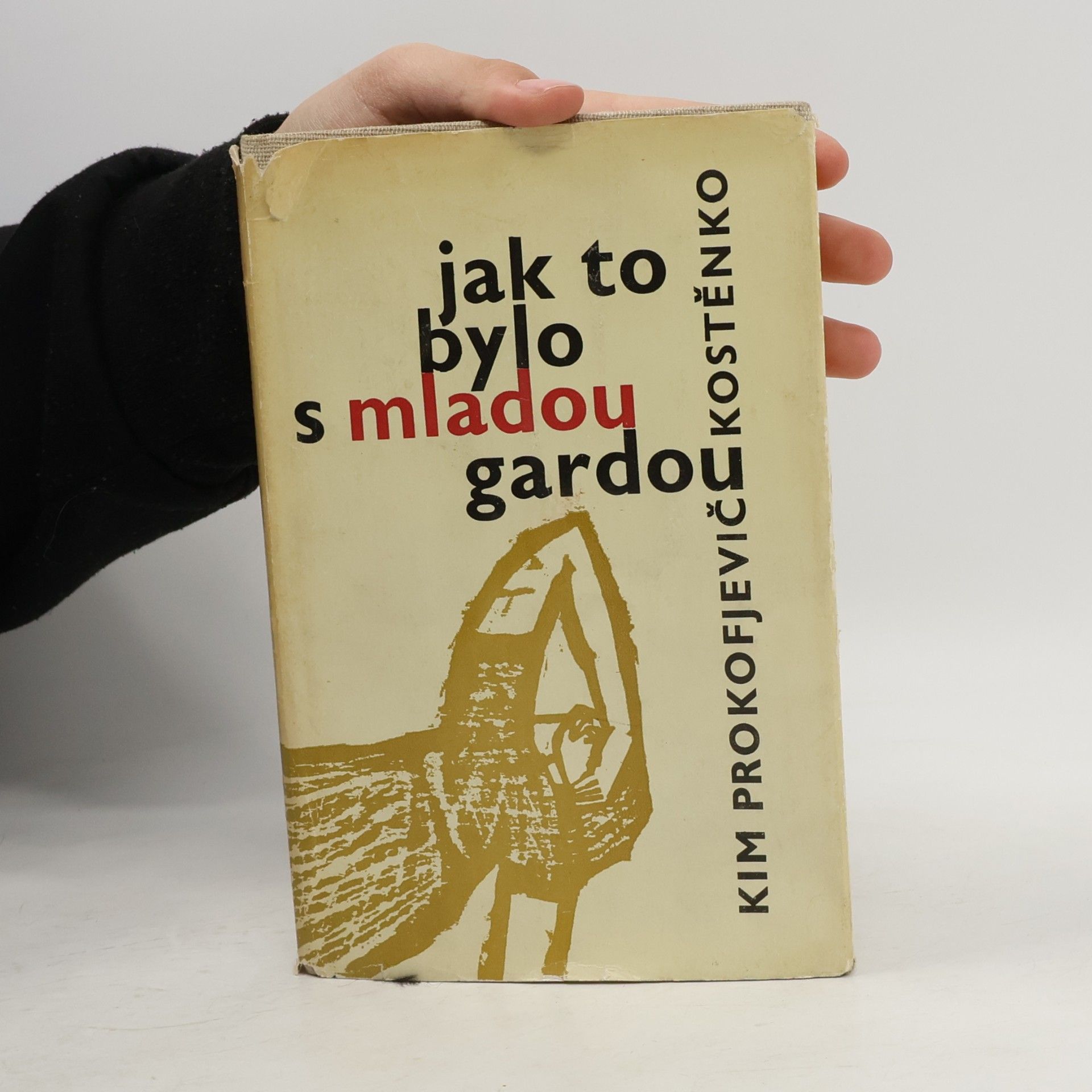Kim Prokof‘jevič Kostenko Jak to bylo s mladou gardou