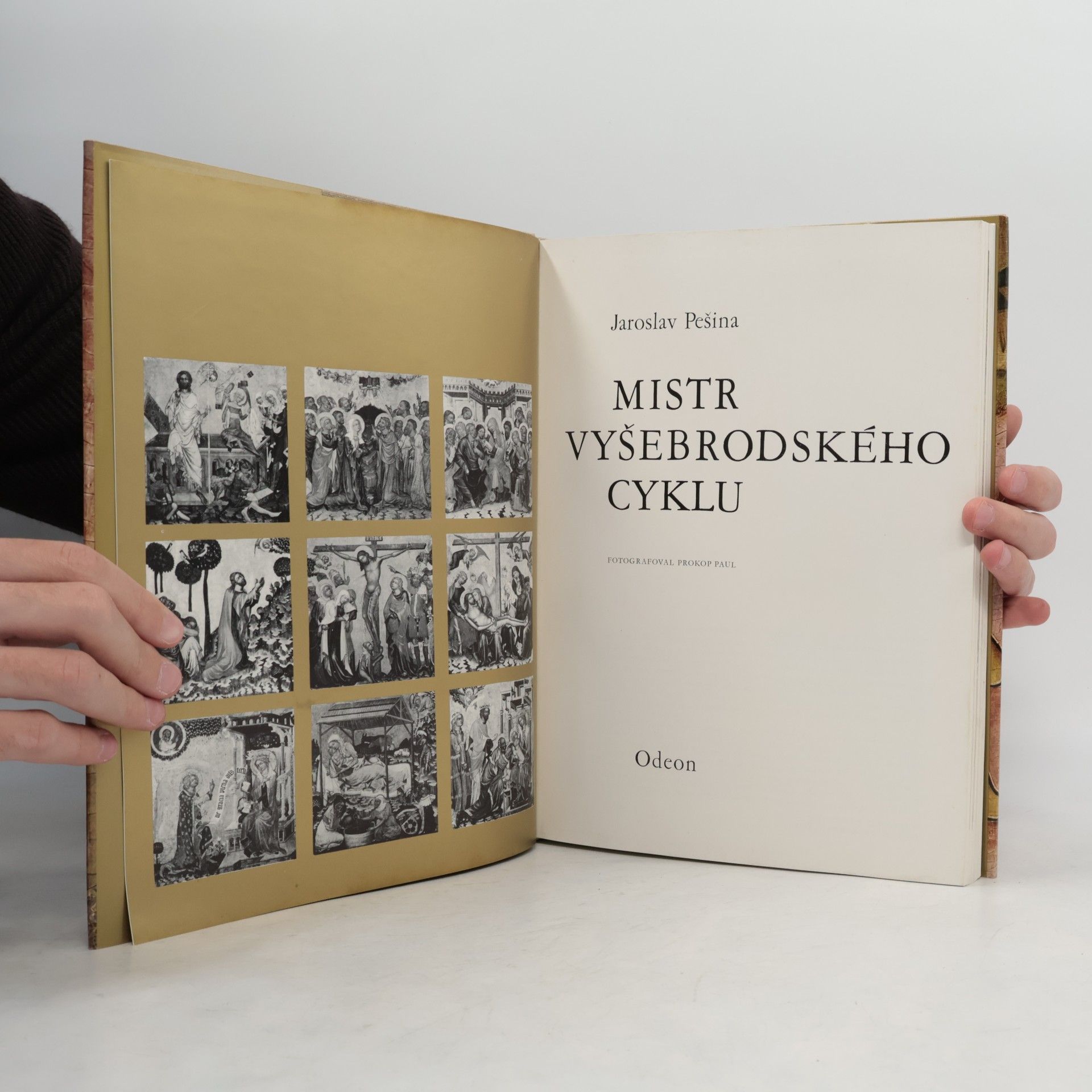 Jaroslav Pešina Mistr Vyšebrodského cyklu
