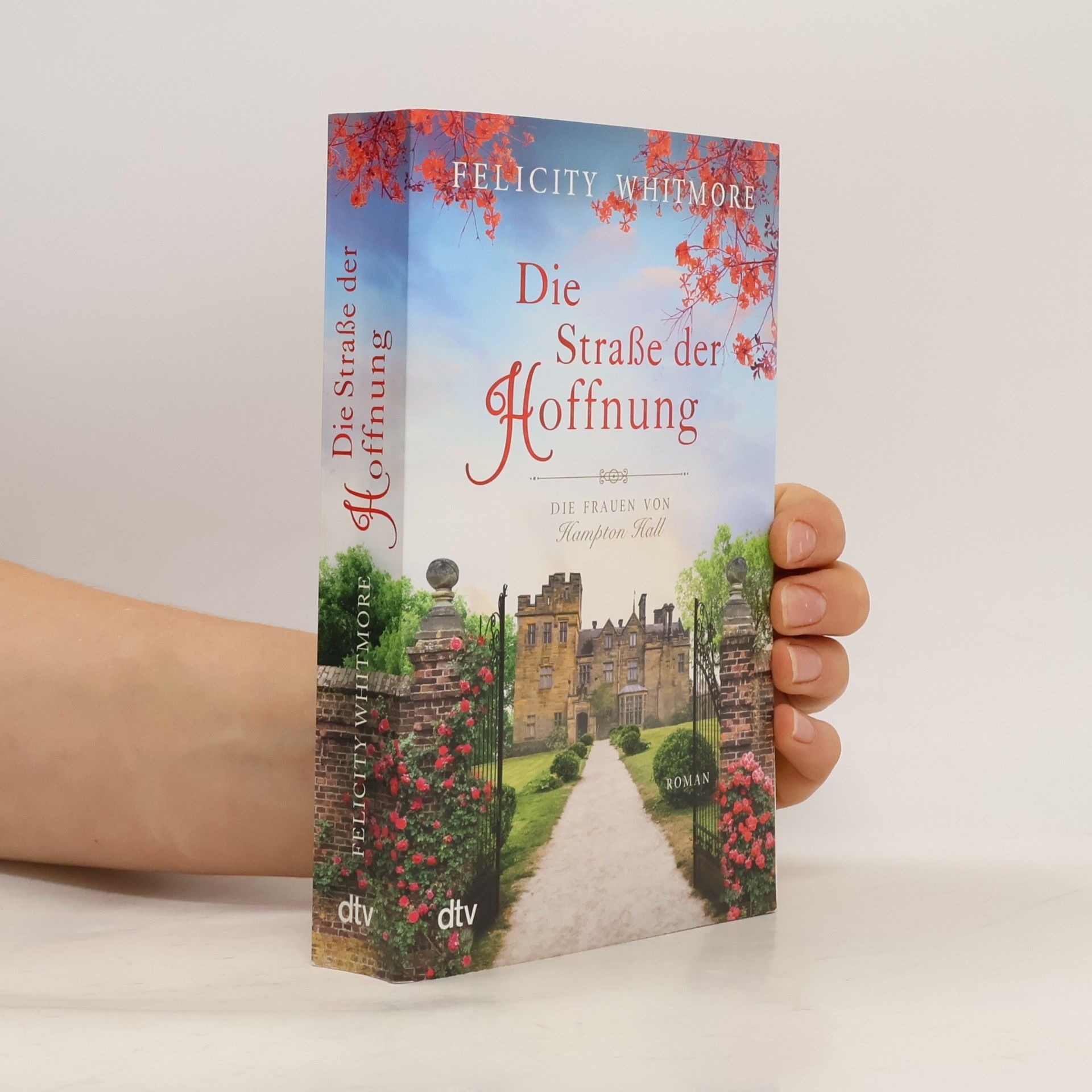 Felicity Whitmore Die Straße der Hoffnung