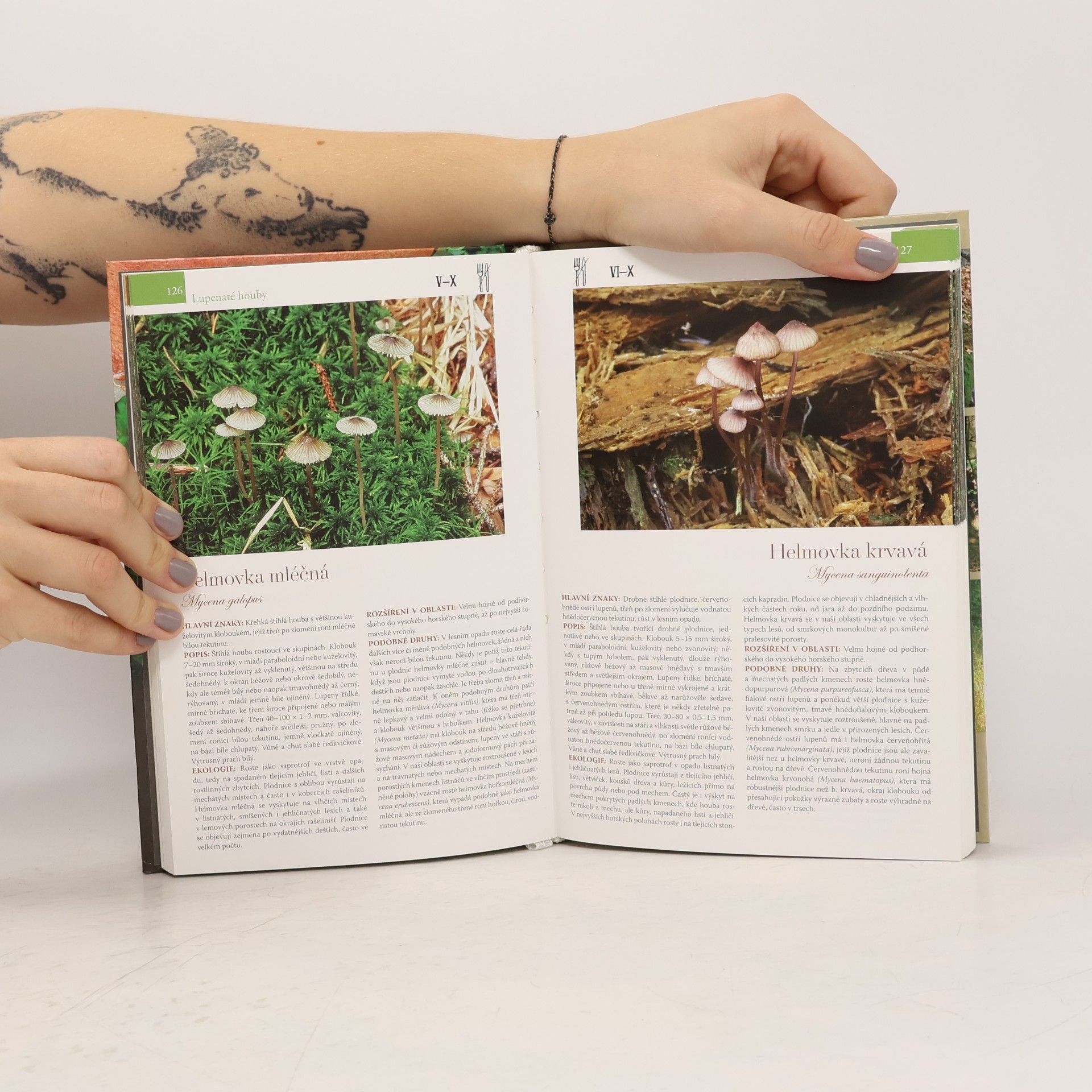 Jan Holec Atlas hub Šumavy a Novohradských hor