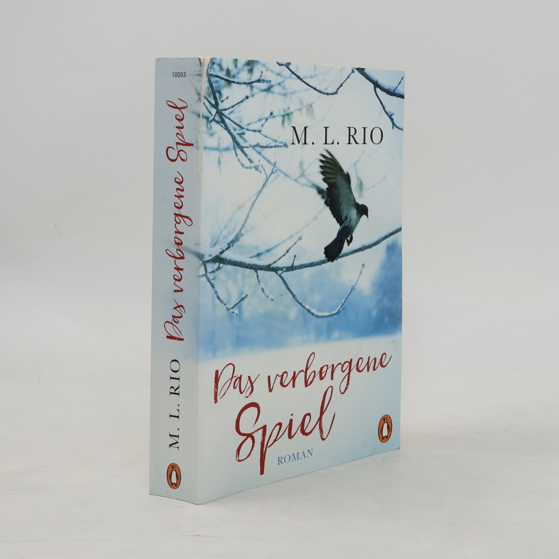M. L. Rio Das verborgene Spiel