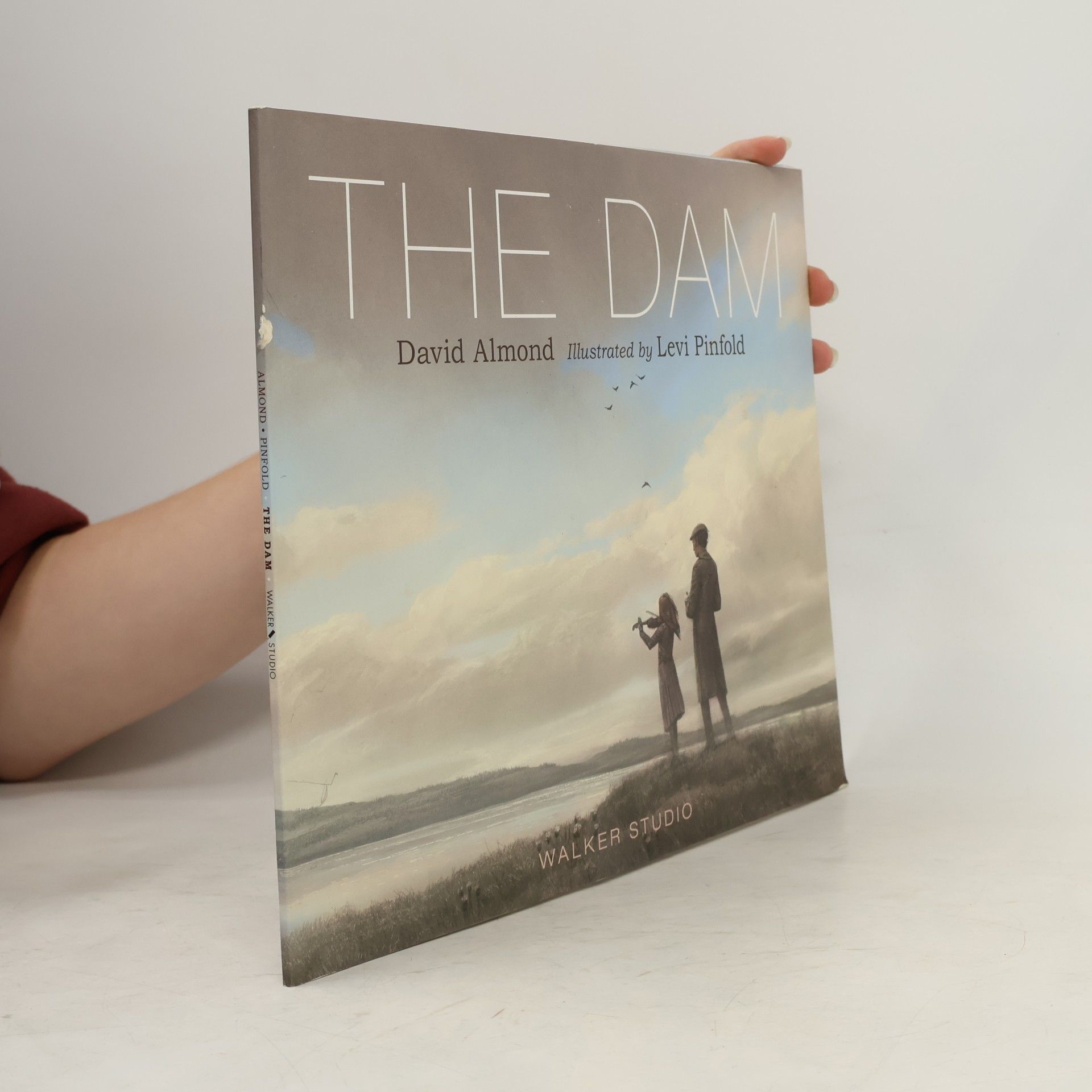 David Almond The Dam
