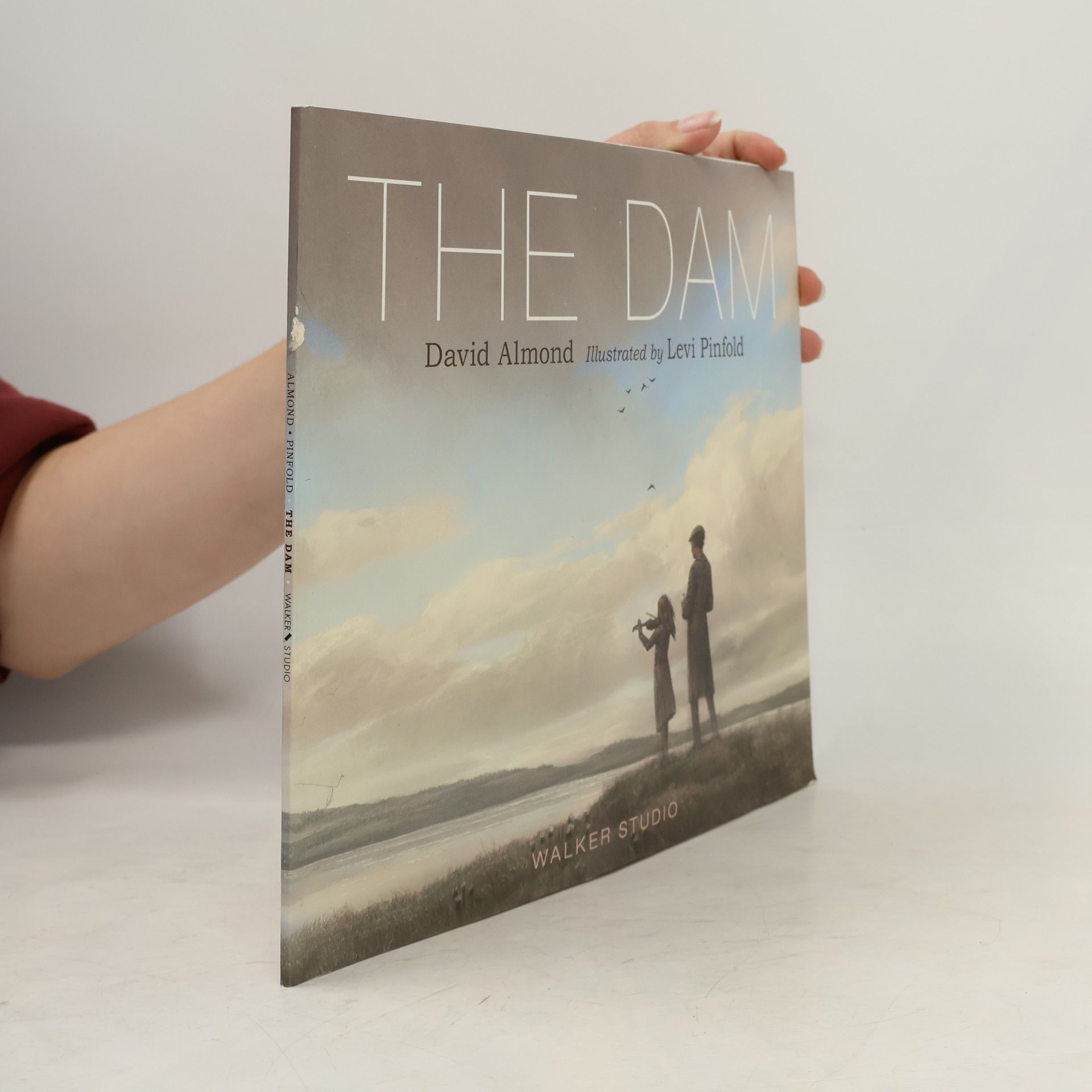 David Almond The Dam