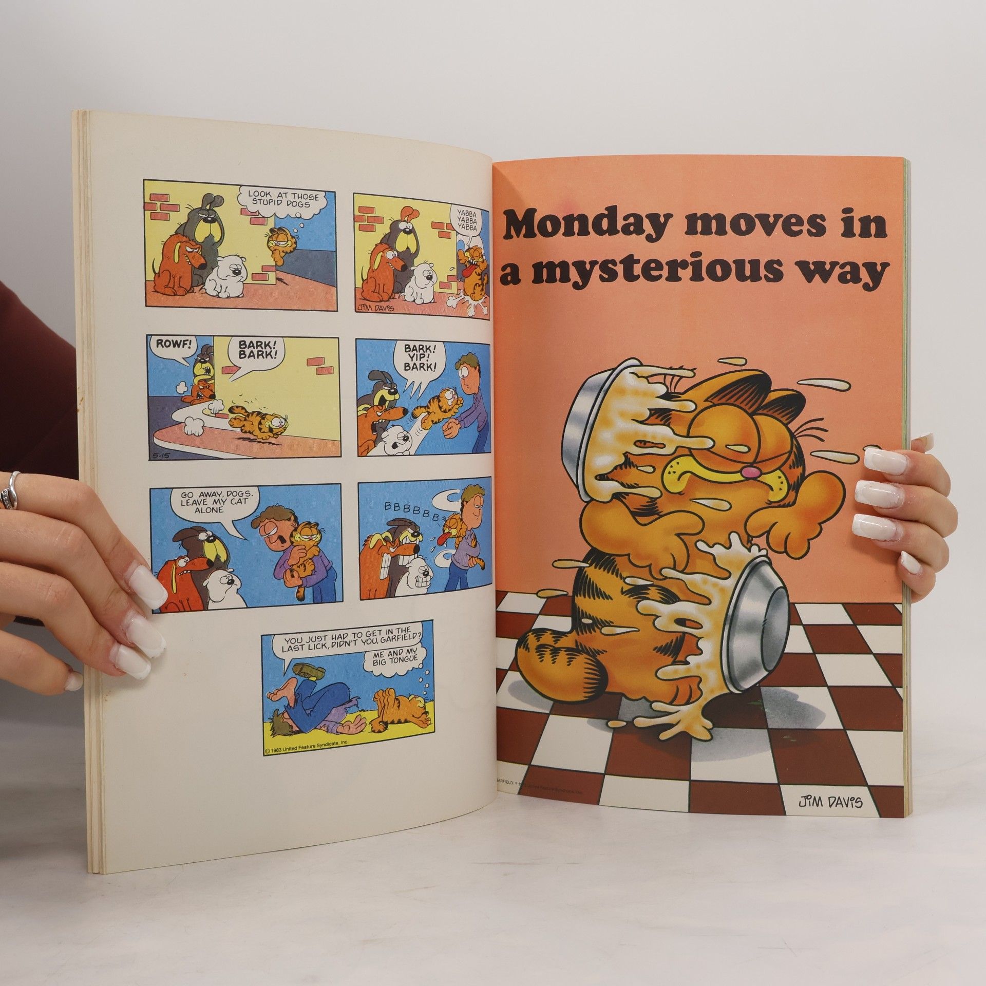 Jim Davis The Garfield Gallery - 2: Garfield Gallery II
